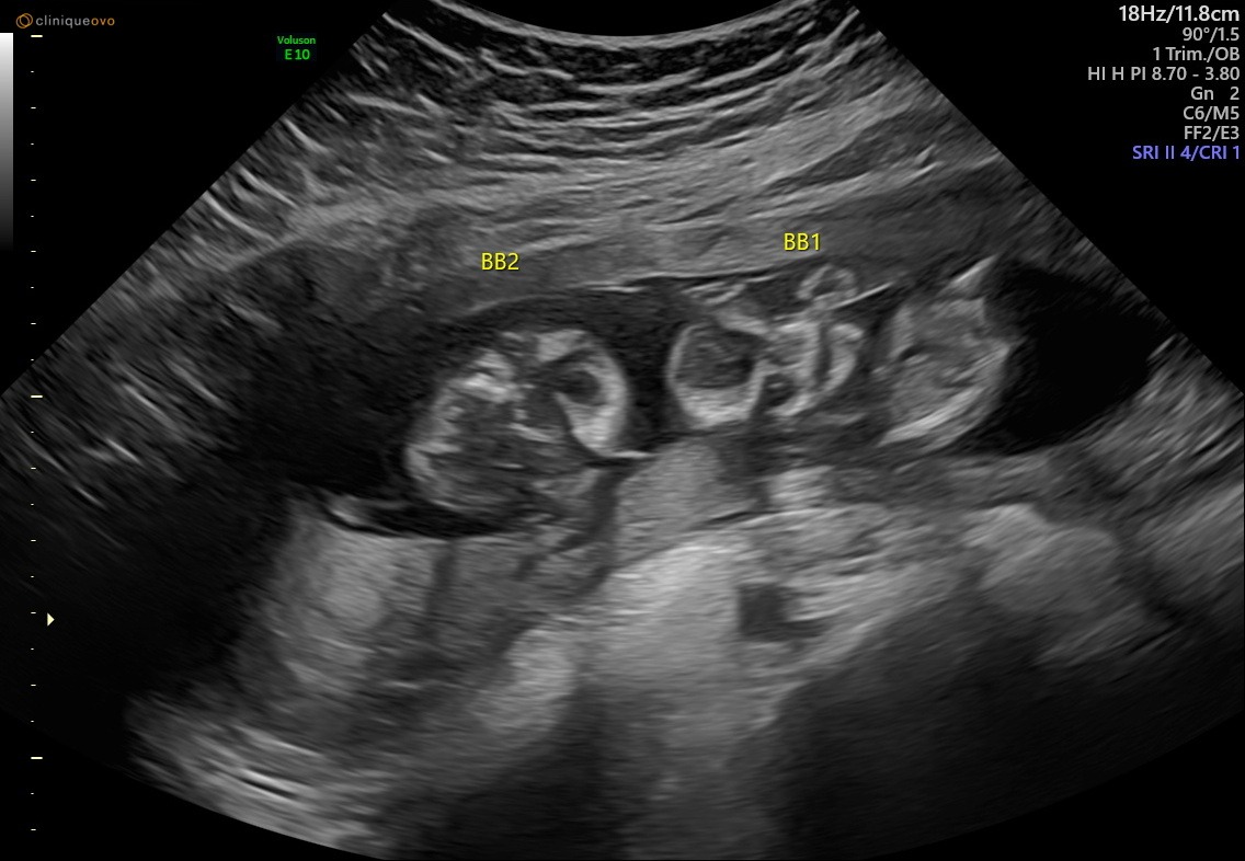 User-uploaded image 1