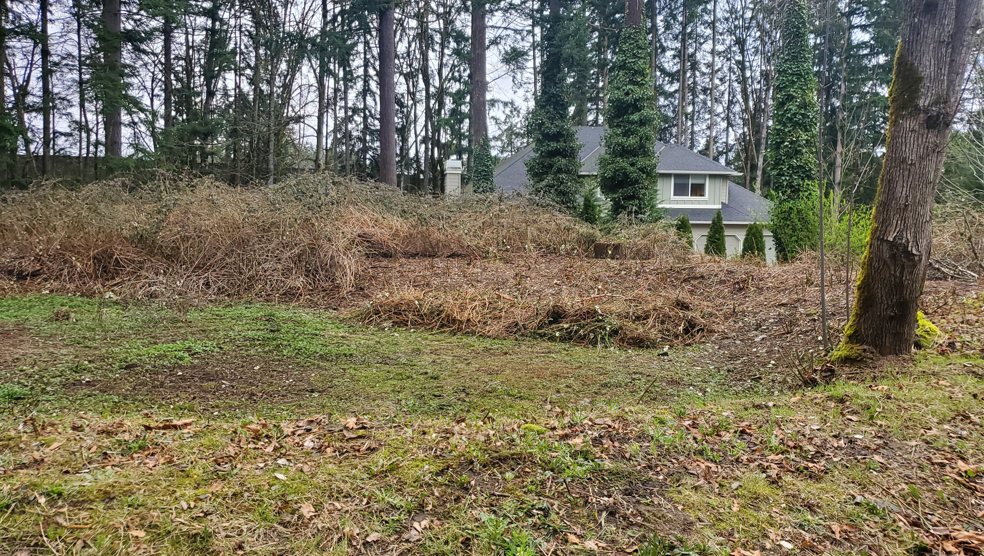 Community Effort: Brentwood Tract C Pond Restoration photo