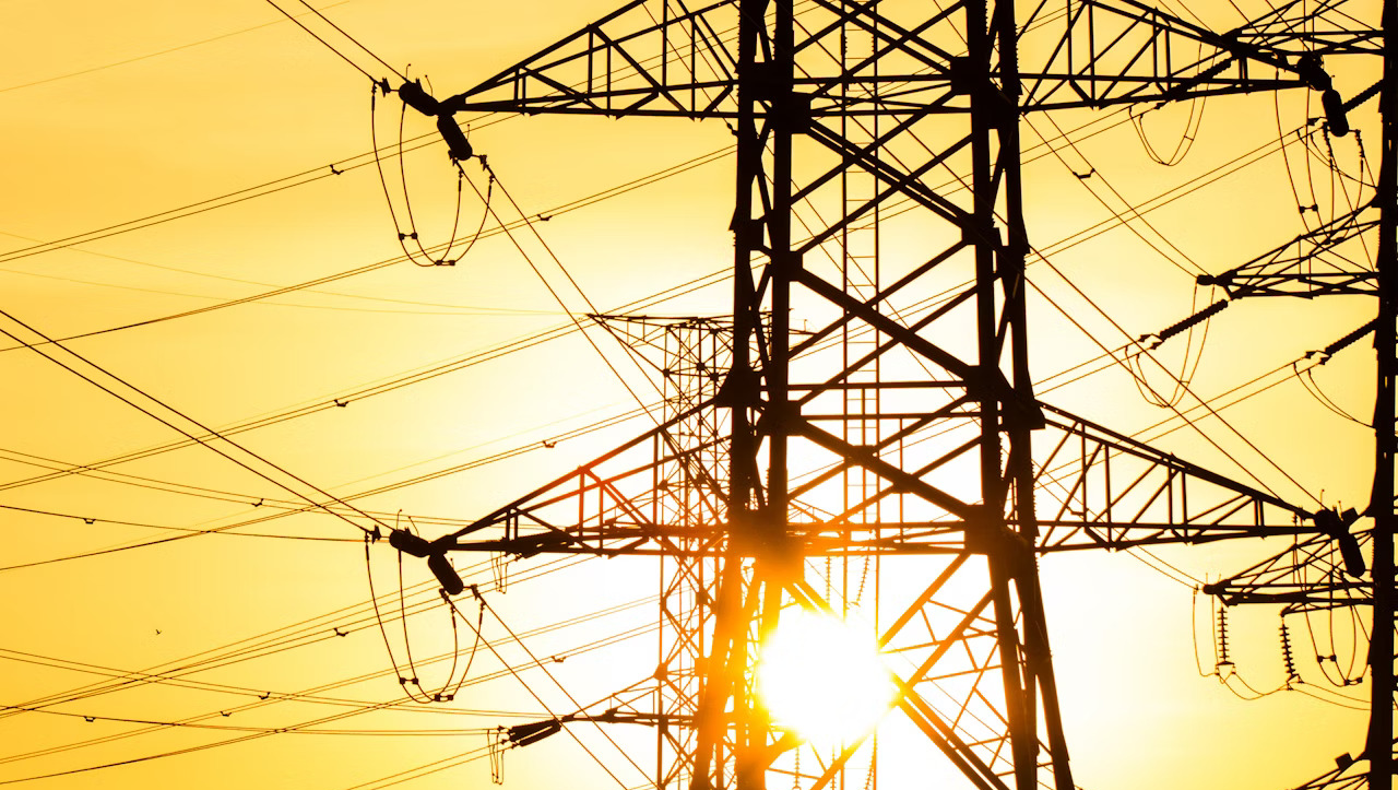 Support Our Household and Pets in Crisis photo