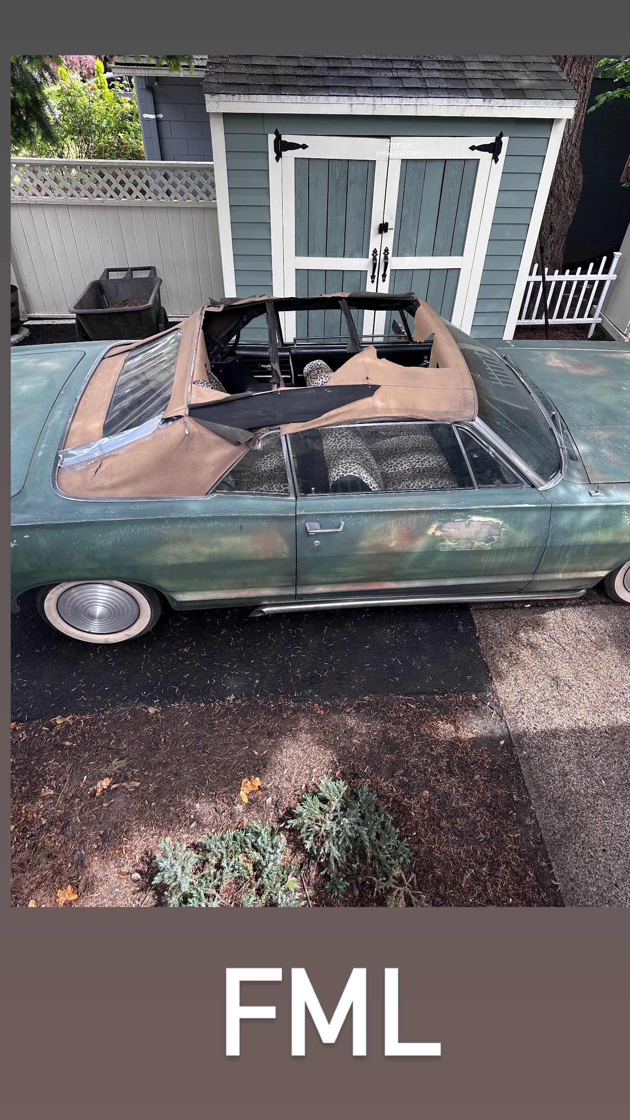 User-uploaded image 2