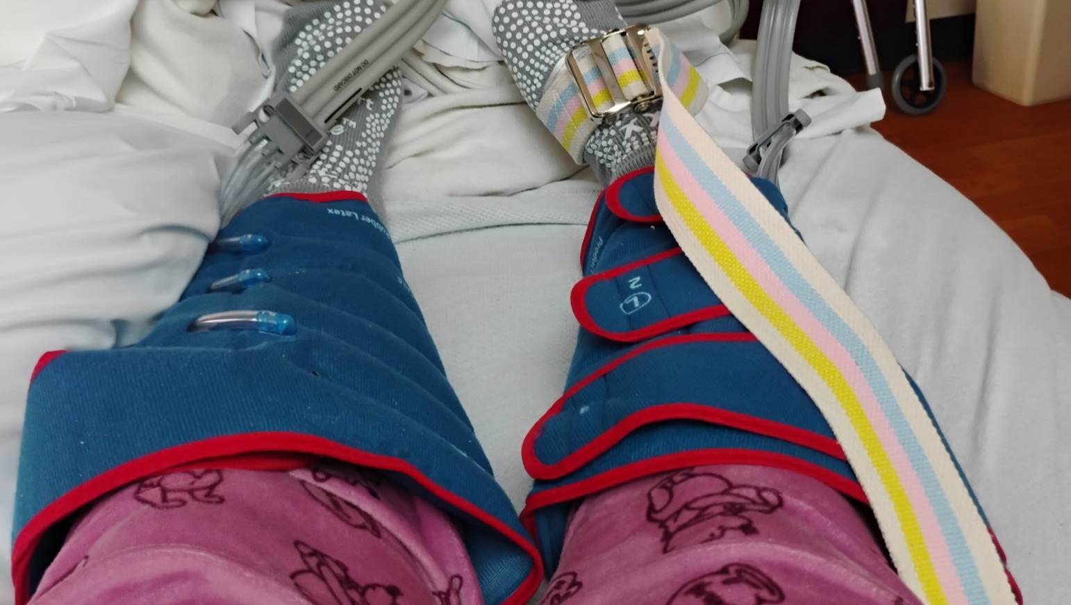 Donate to Britney's Recovery Journey photo