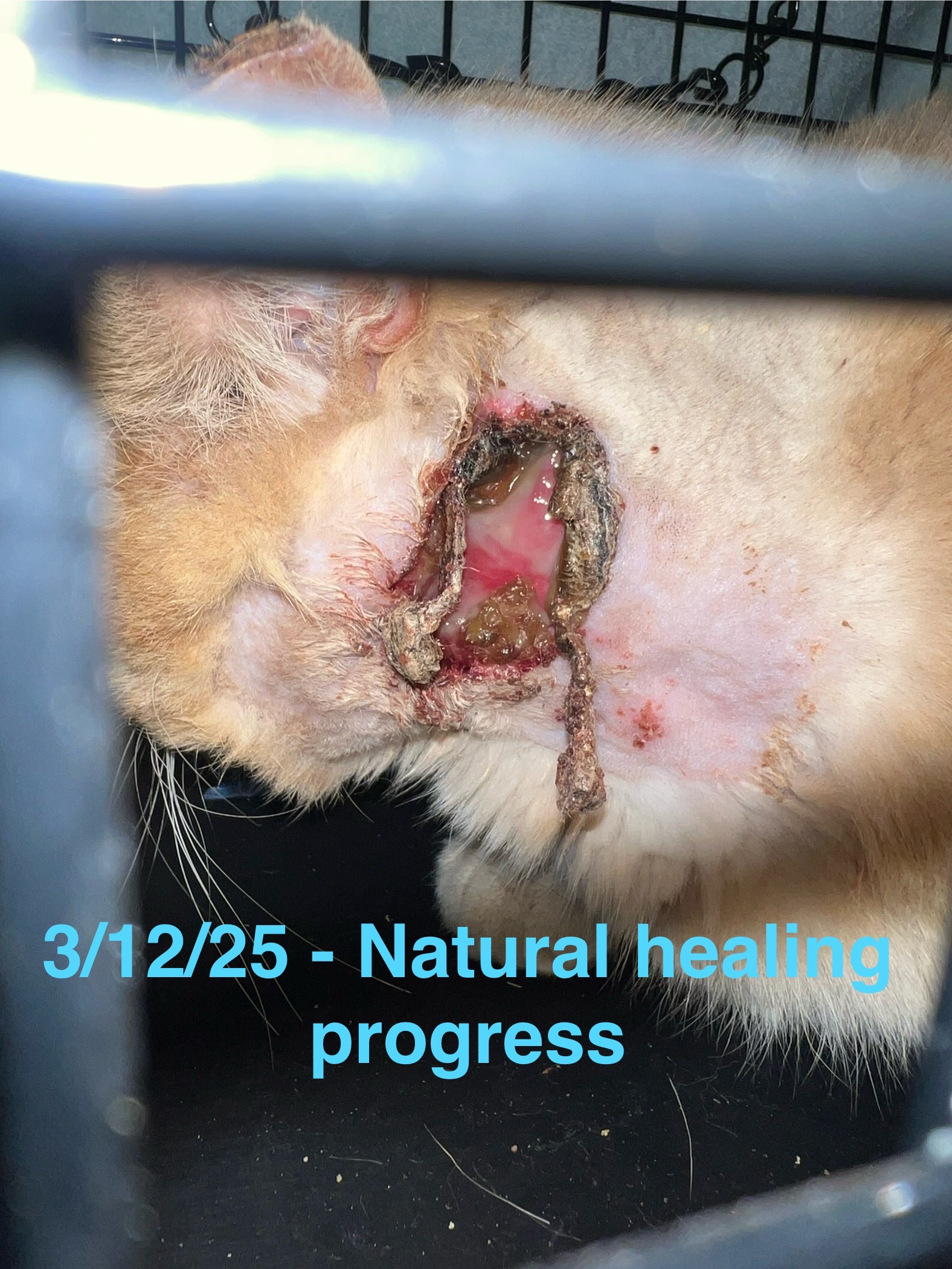 User-uploaded image 3