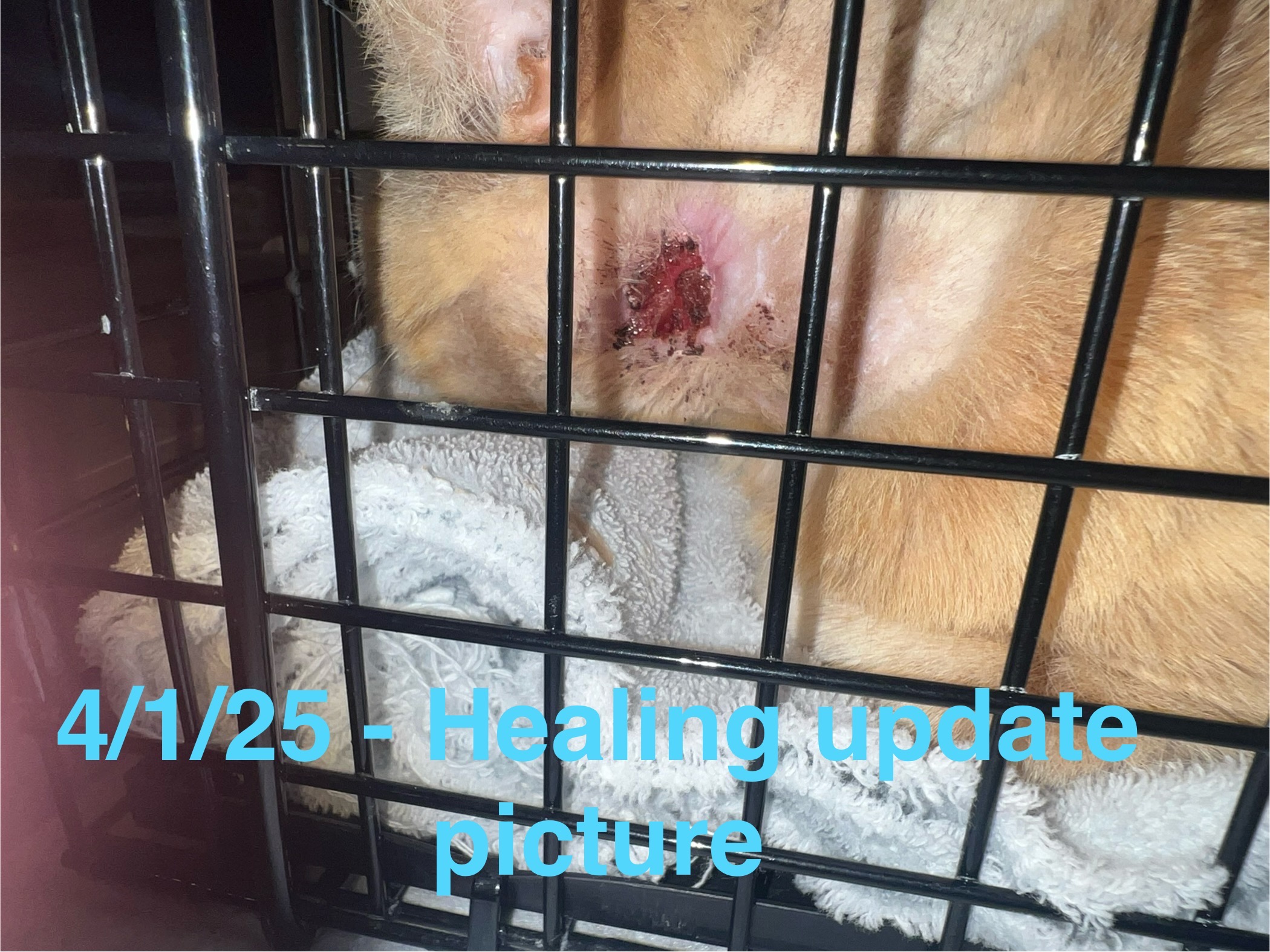 User-uploaded image 5