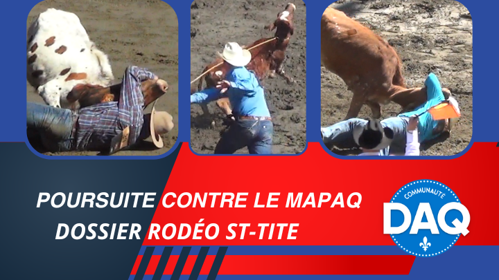 Photo de la campagne Poursuite contre le MAPAQ - Dossier Rodéo St-Tite, 6 sur 7