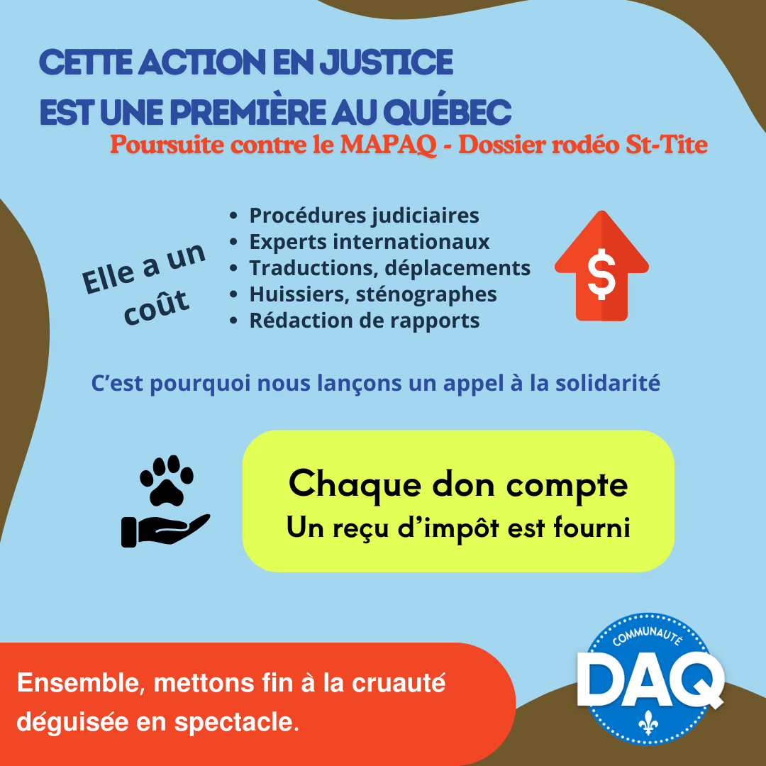 Photo de la campagne Poursuite contre le MAPAQ - Dossier Rodéo St-Tite, 2 sur 7