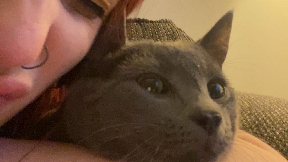 Support Danielle and Blitz's New Start photo