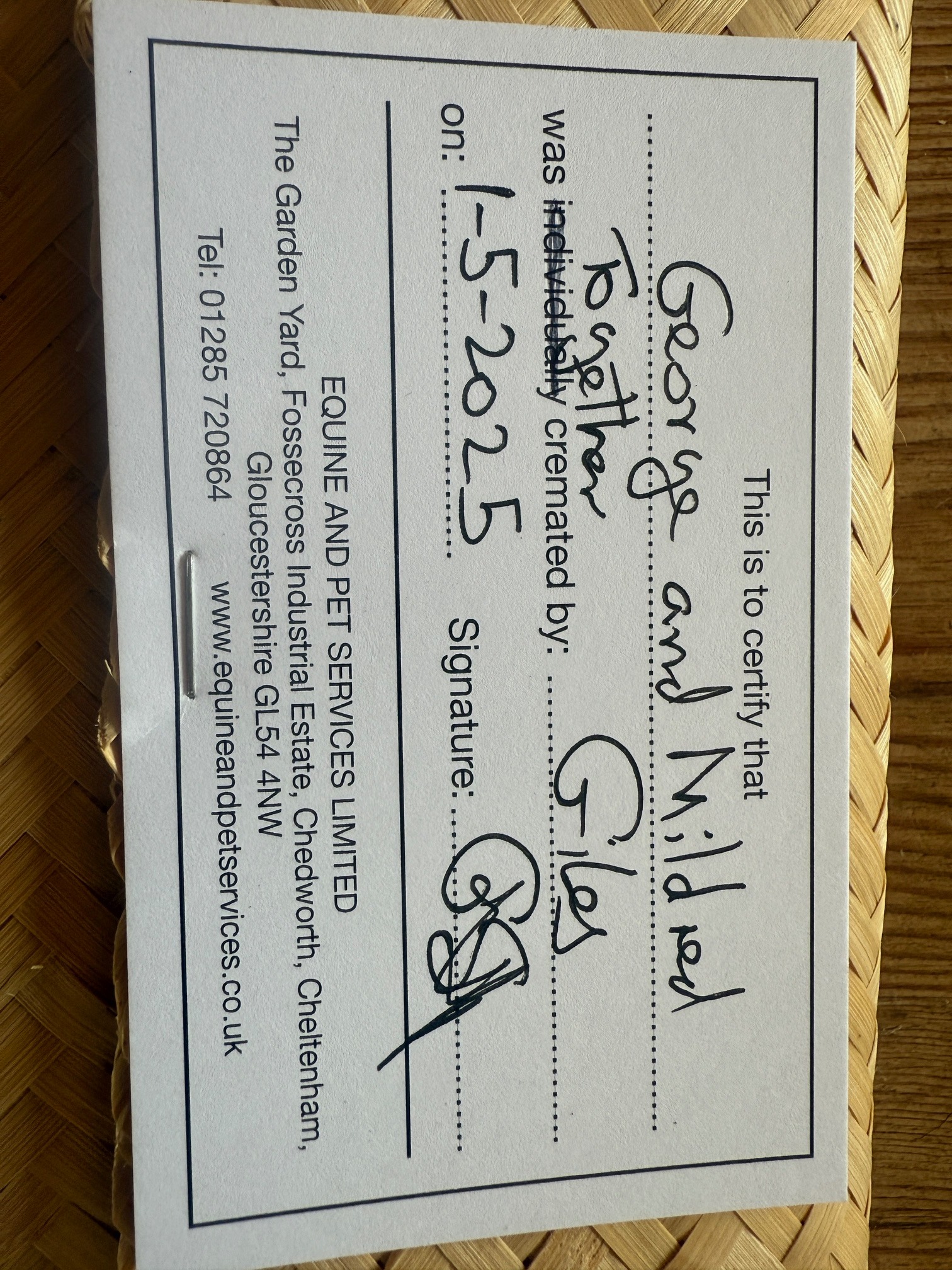 User-uploaded image 2