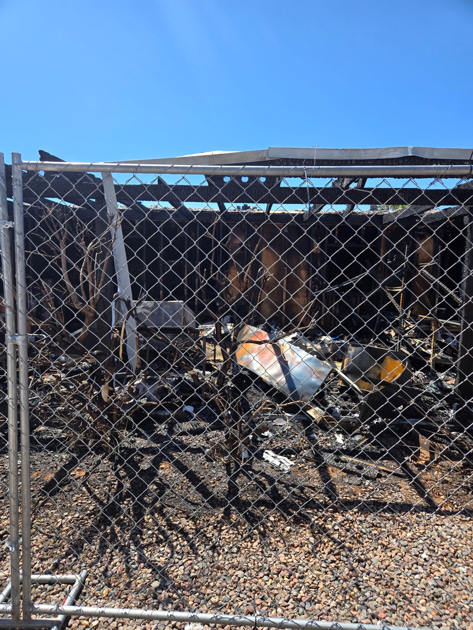 User-uploaded image 1