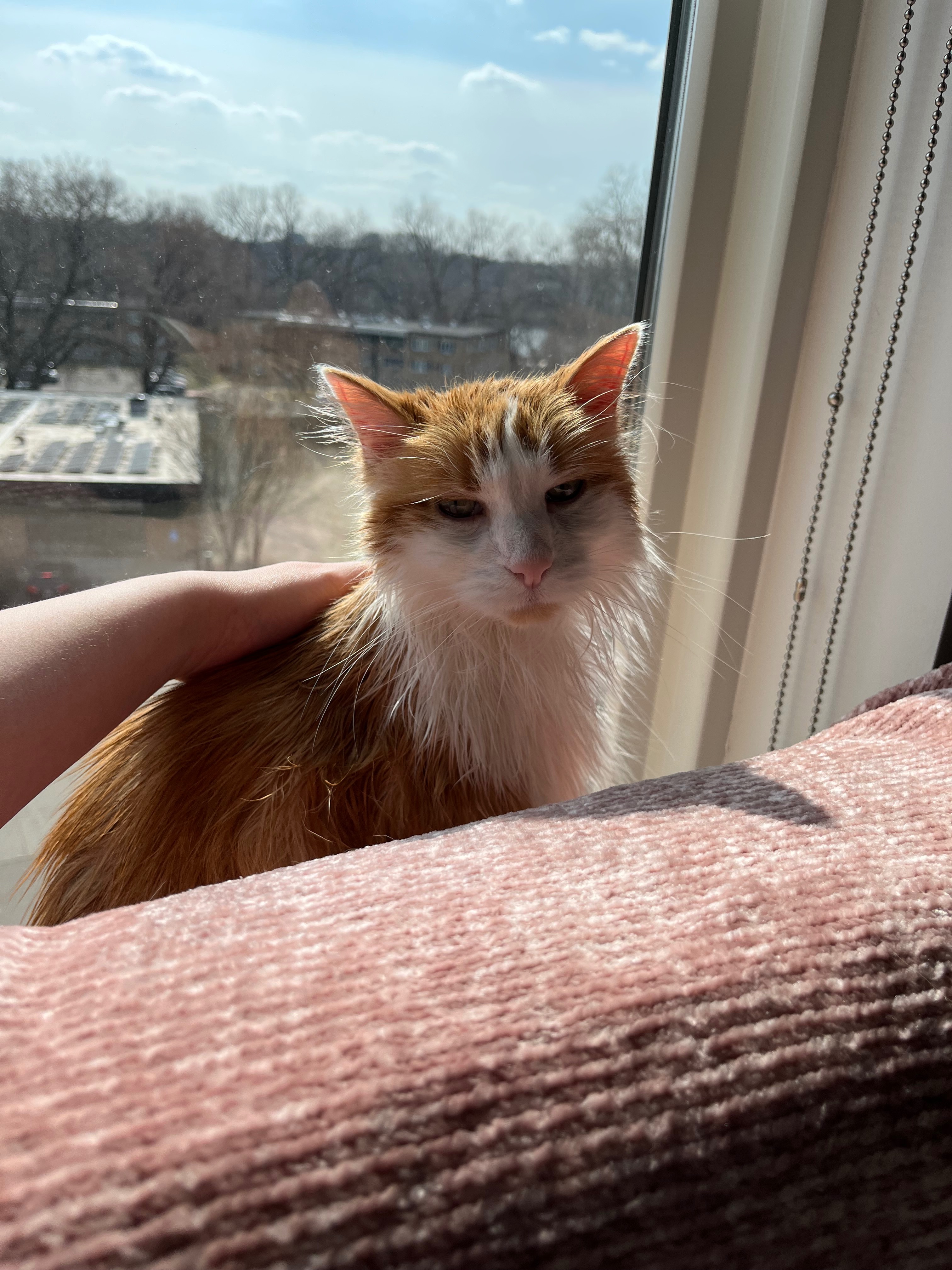 Help Nimmy Get Life-Saving Medical Care campaign photo, 5 of 8