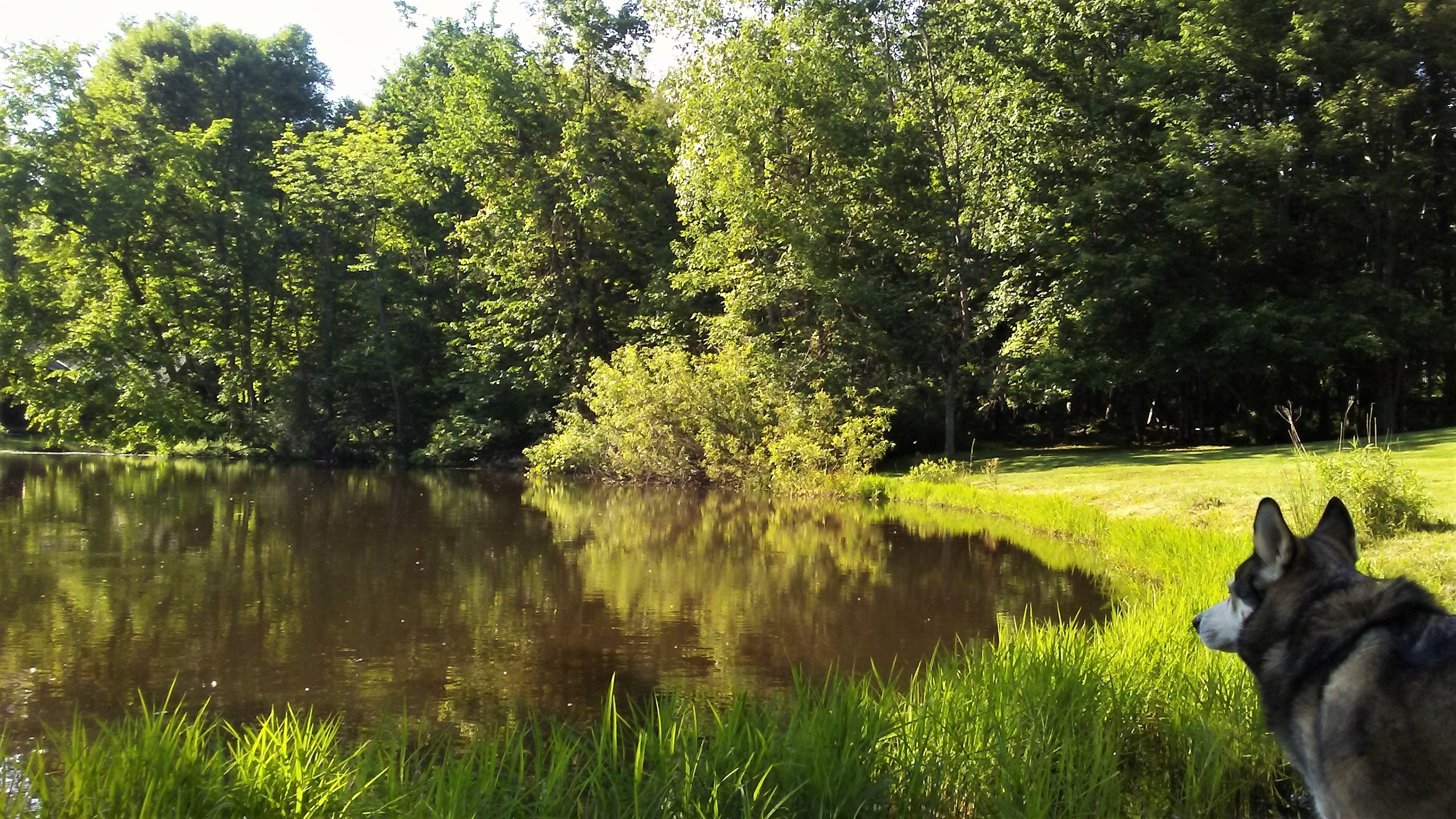 User-uploaded image 1