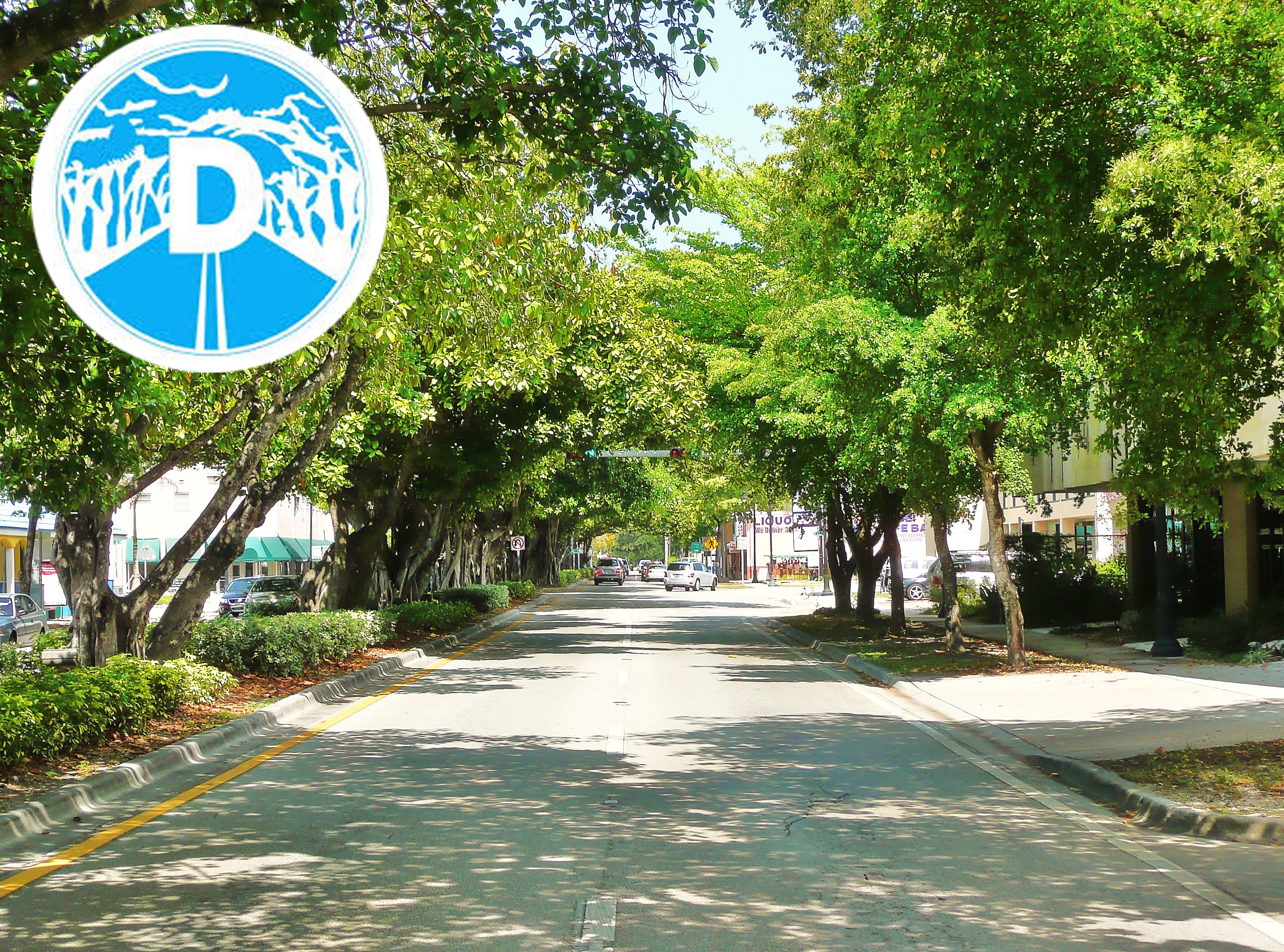 Imagen cargada por el usuario 1