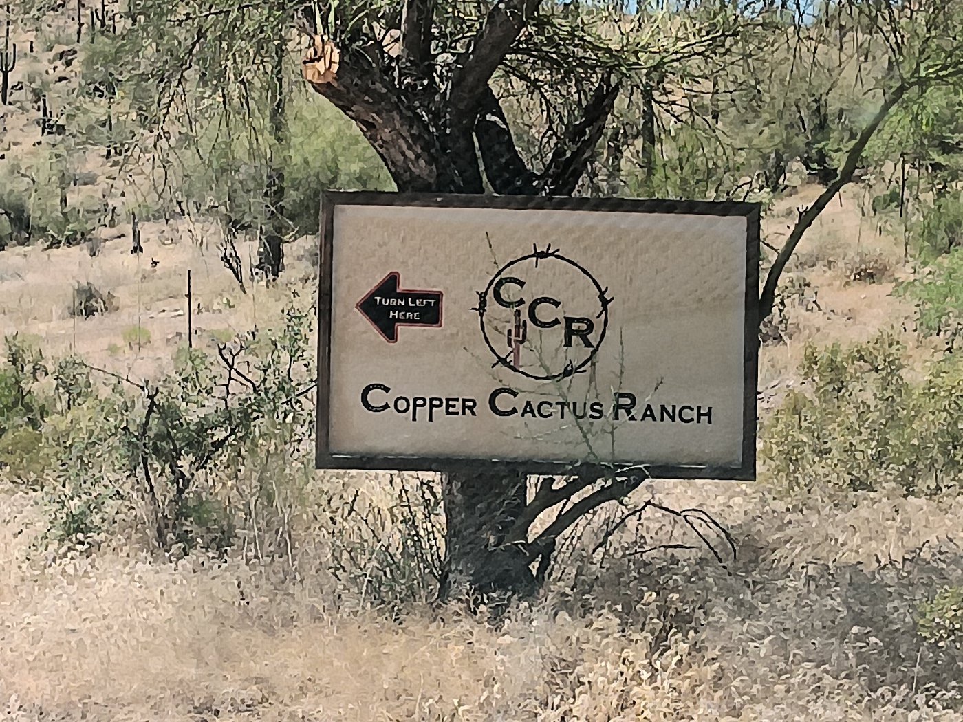 User-uploaded image 1