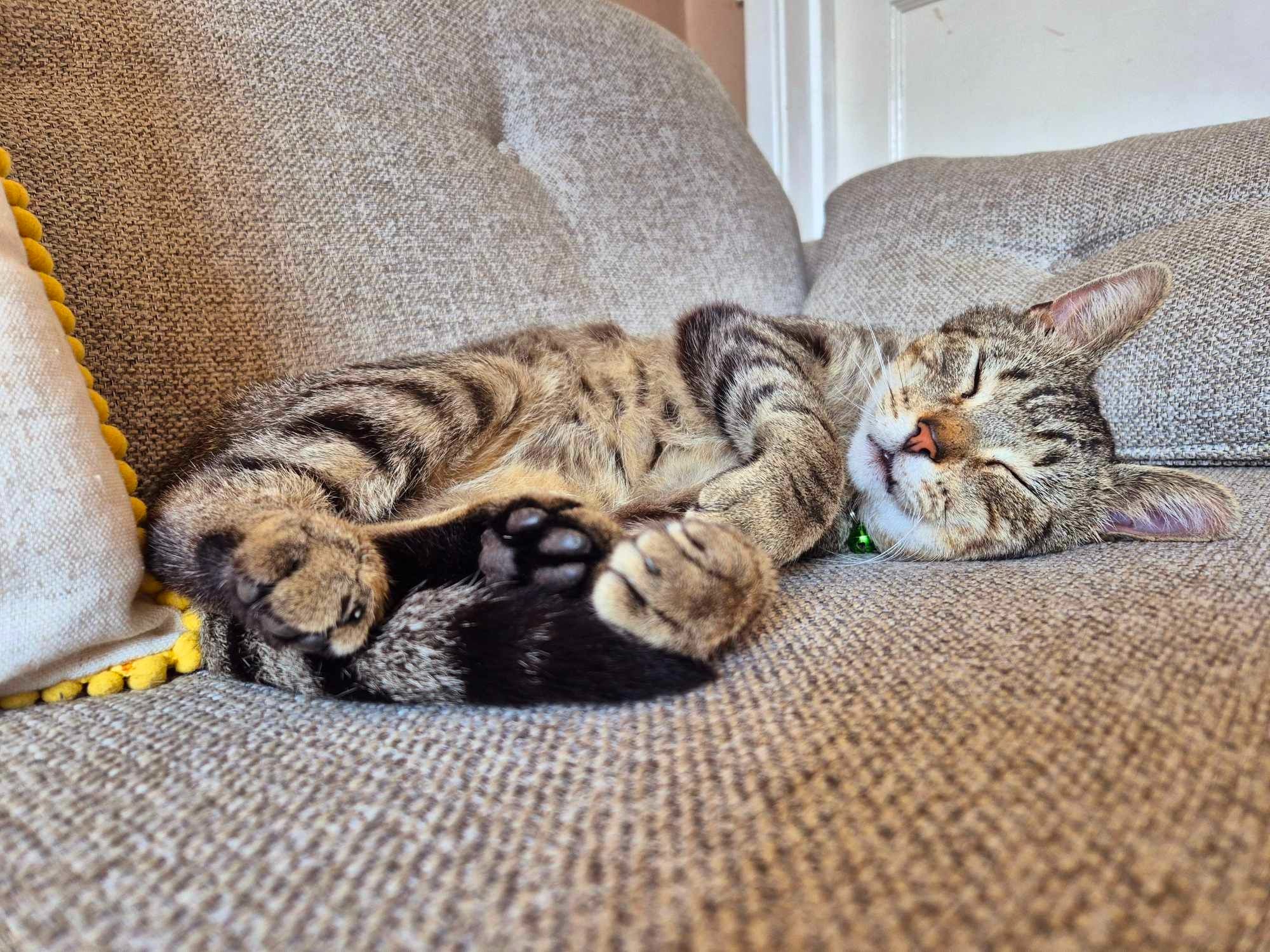 User-uploaded image 1