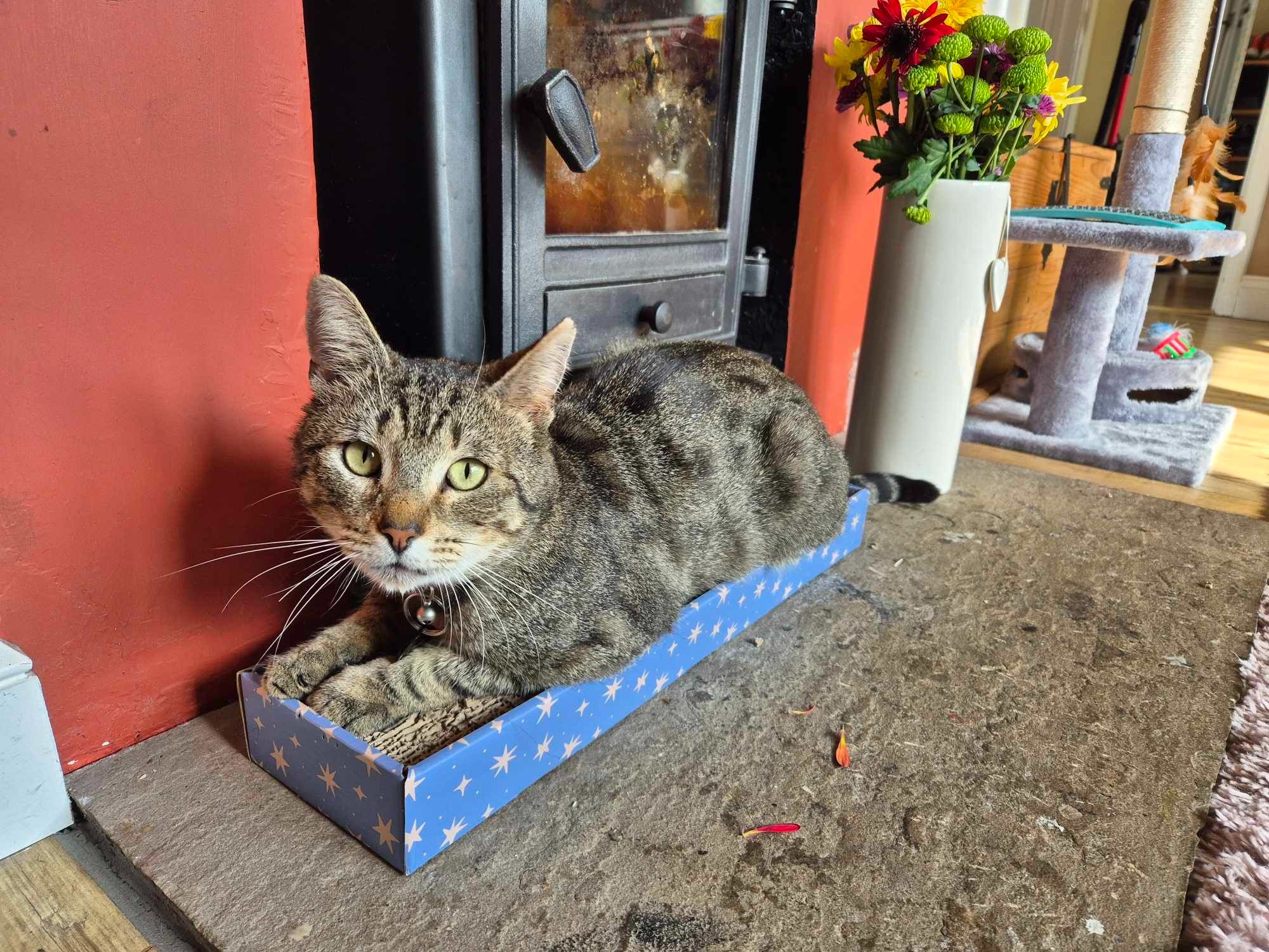 User-uploaded image 2