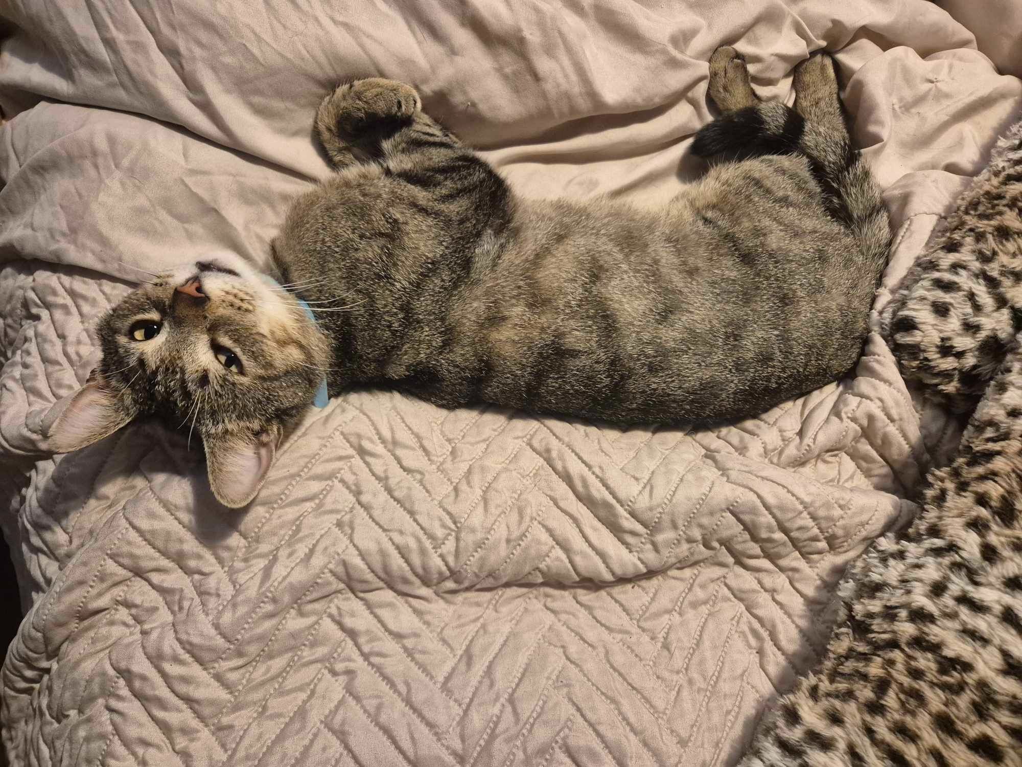 User-uploaded image 3