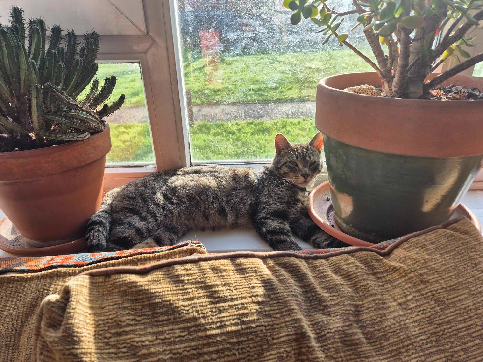 User-uploaded image 4