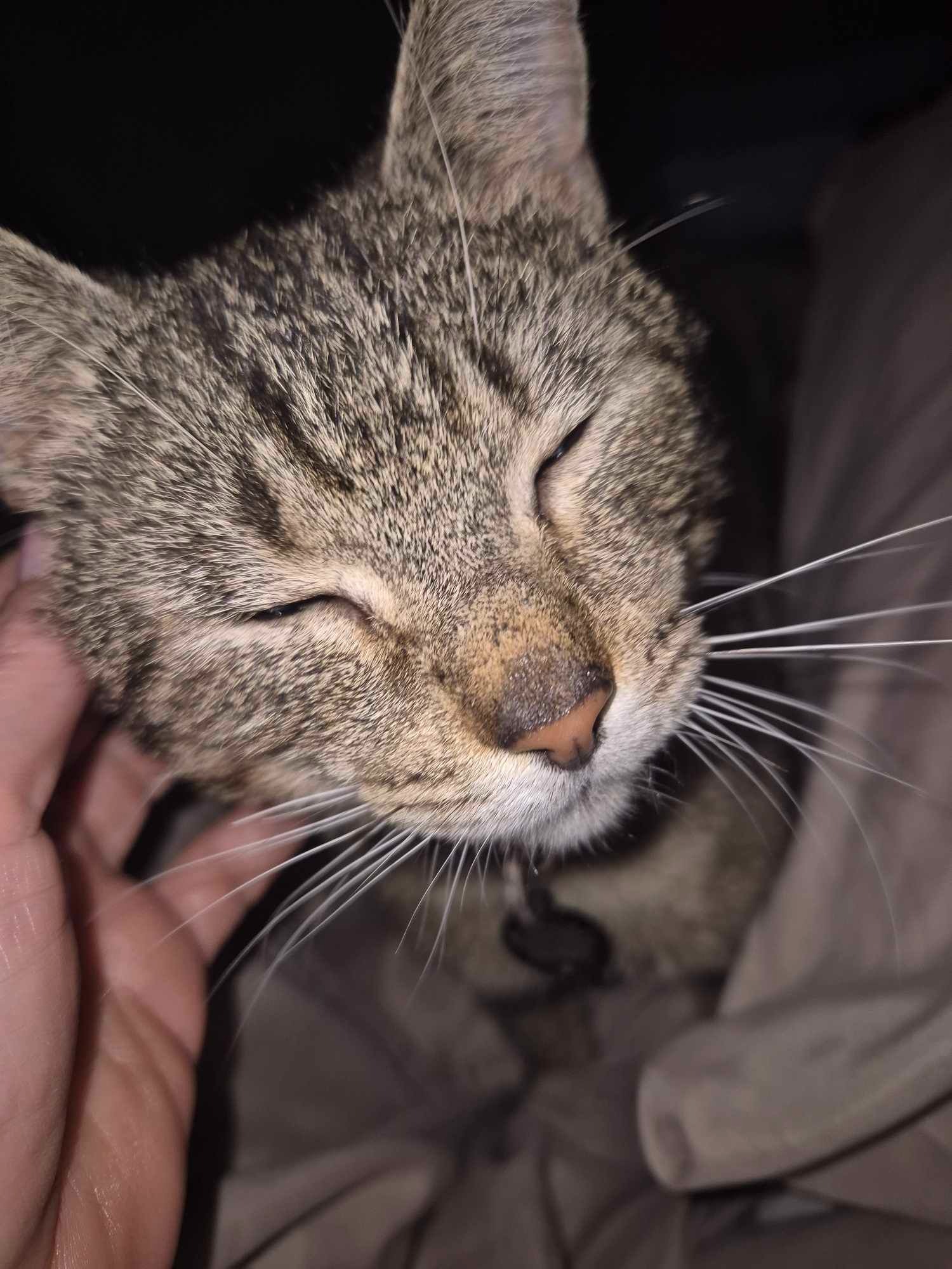 User-uploaded image 5