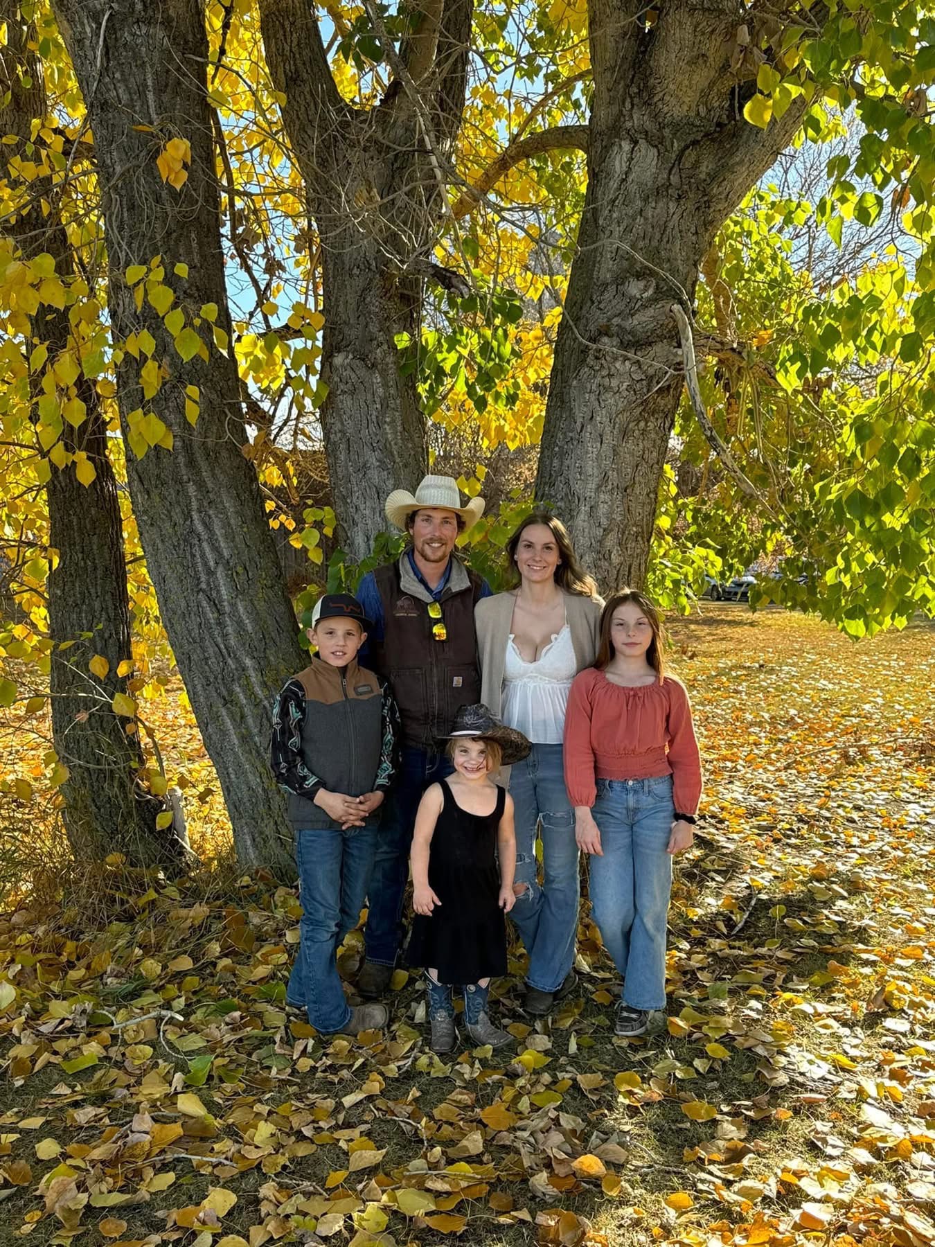 User-uploaded image 1