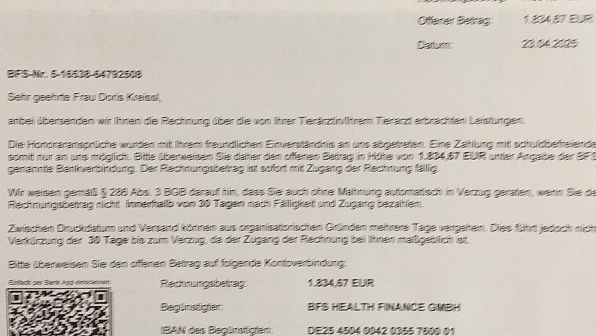 Notfellchen Max,dringend photo