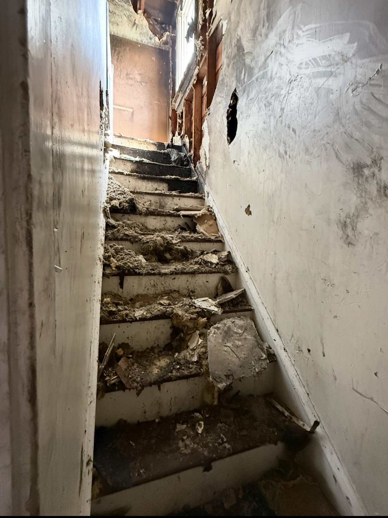 Help Max & Meaghan Rebuild After Fire campaign photo, 4 of 6