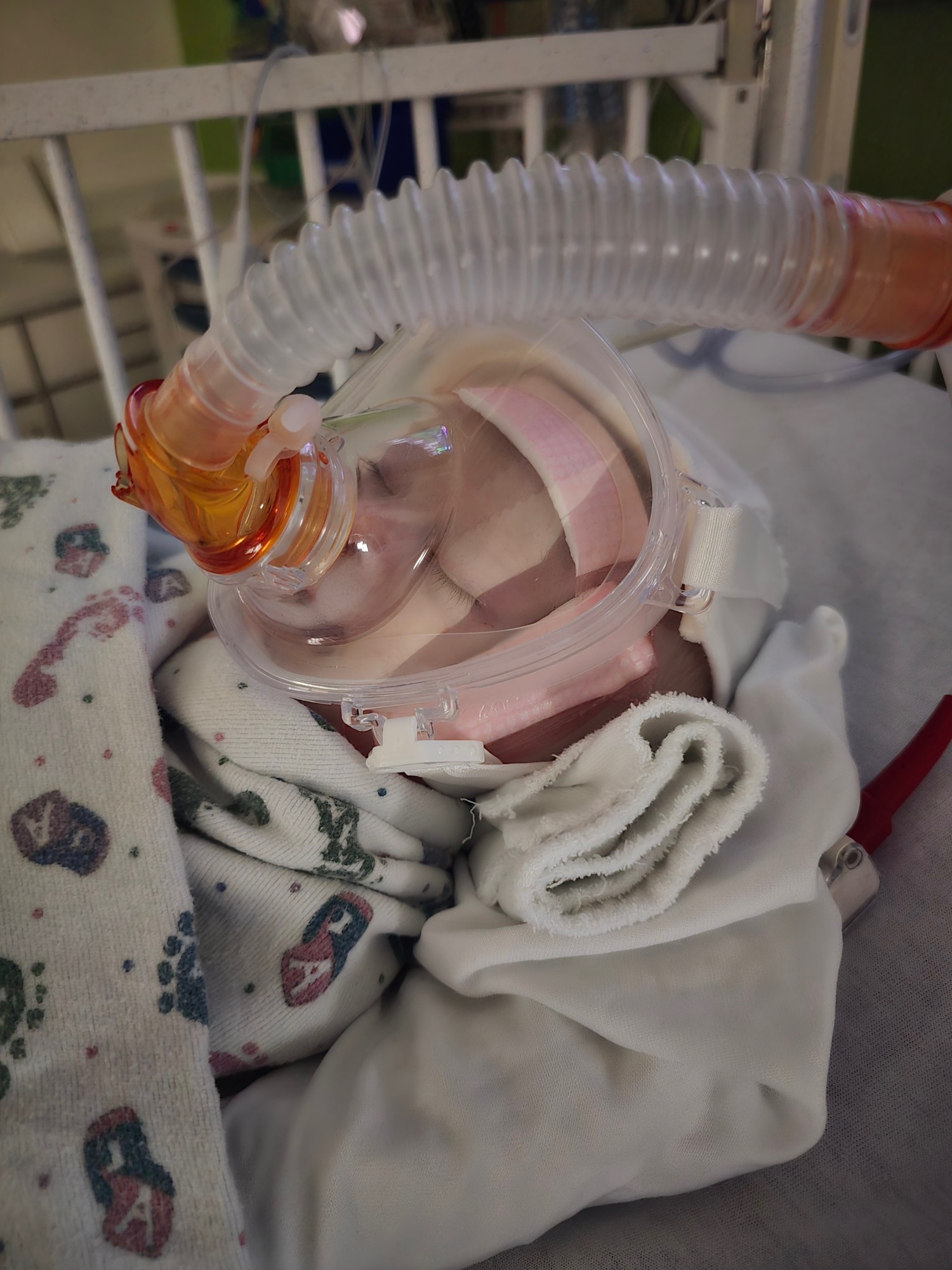 User-uploaded image 1