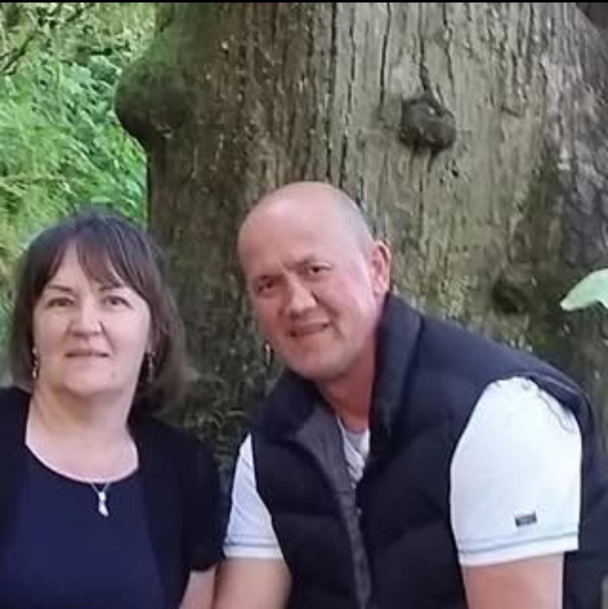 User-uploaded image 1