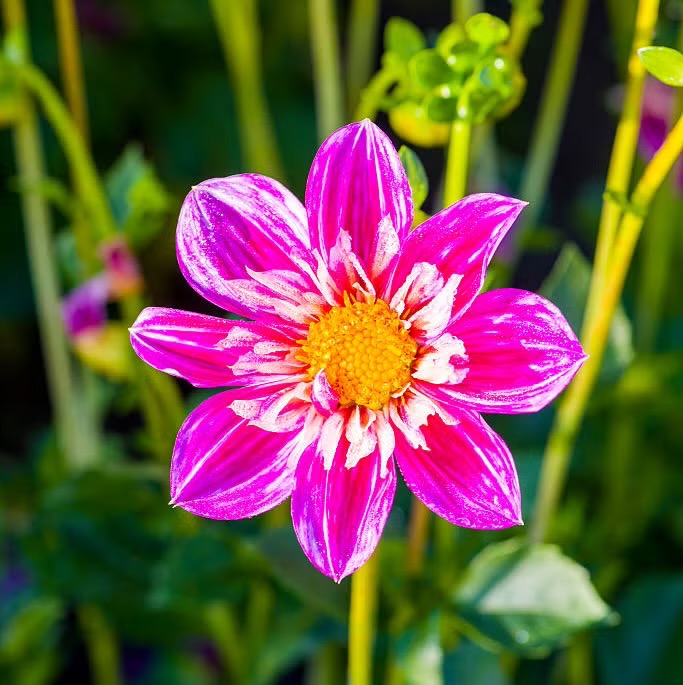 User-uploaded image 1