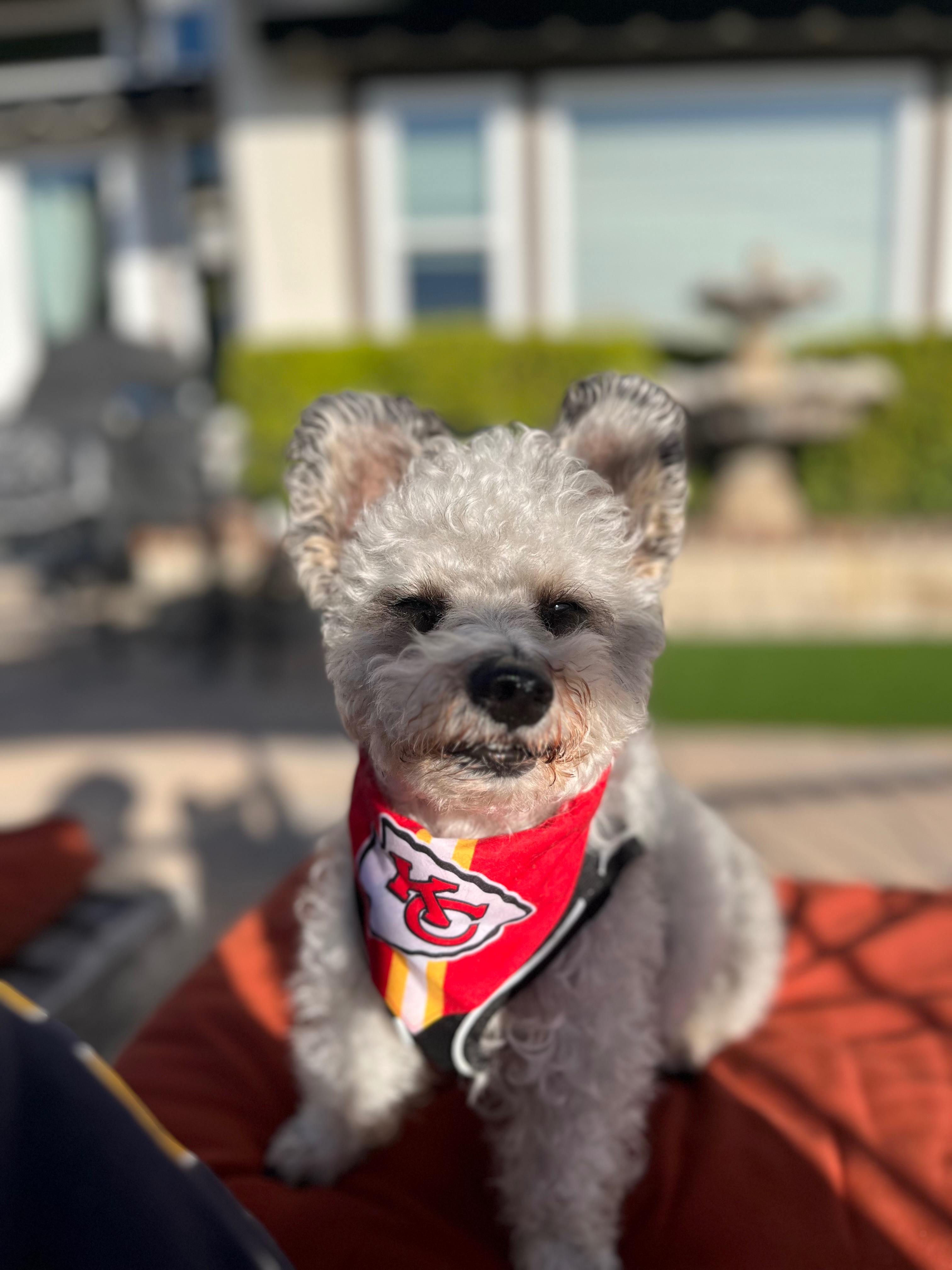 User-uploaded image 1