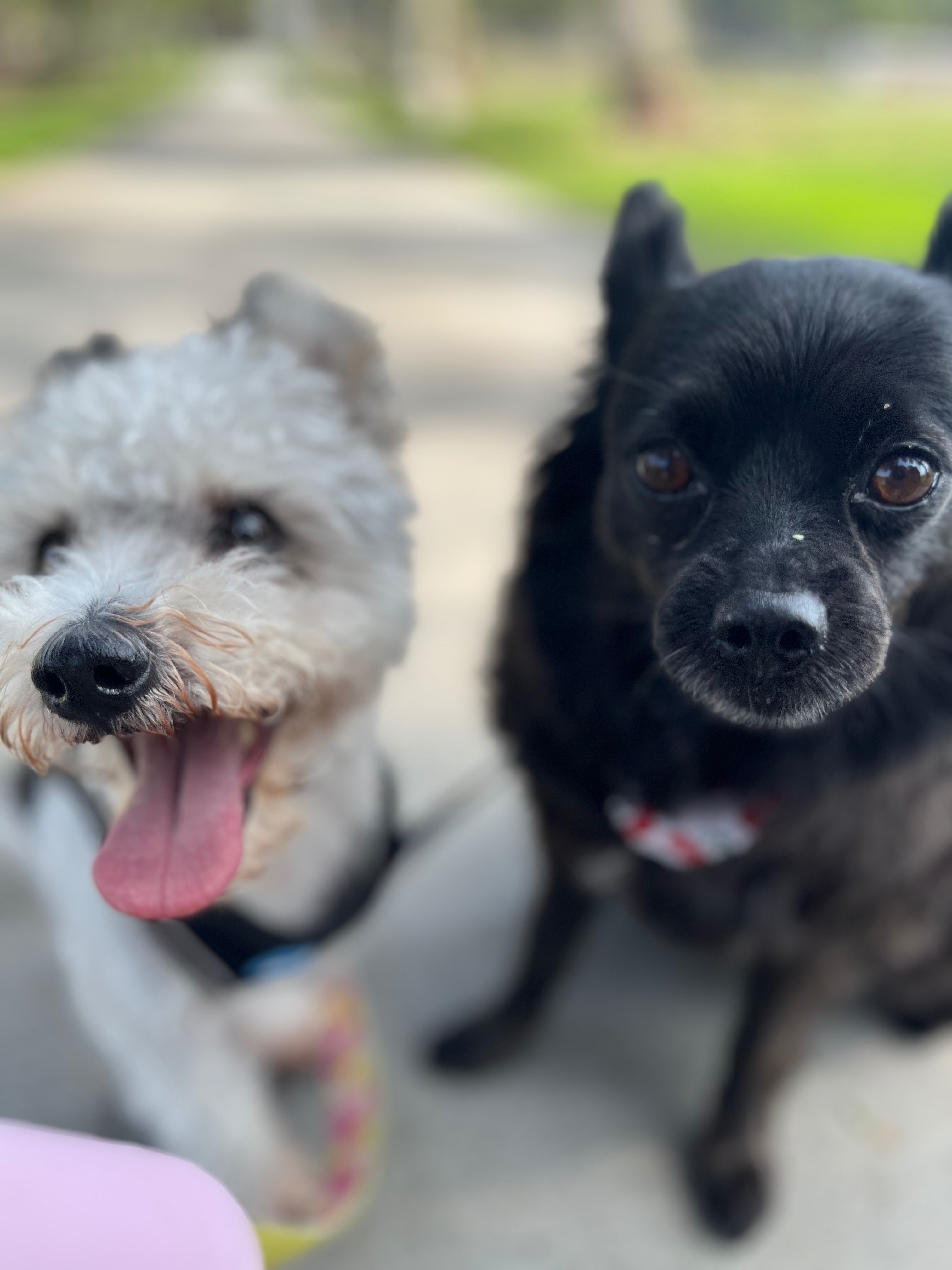 User-uploaded image 2