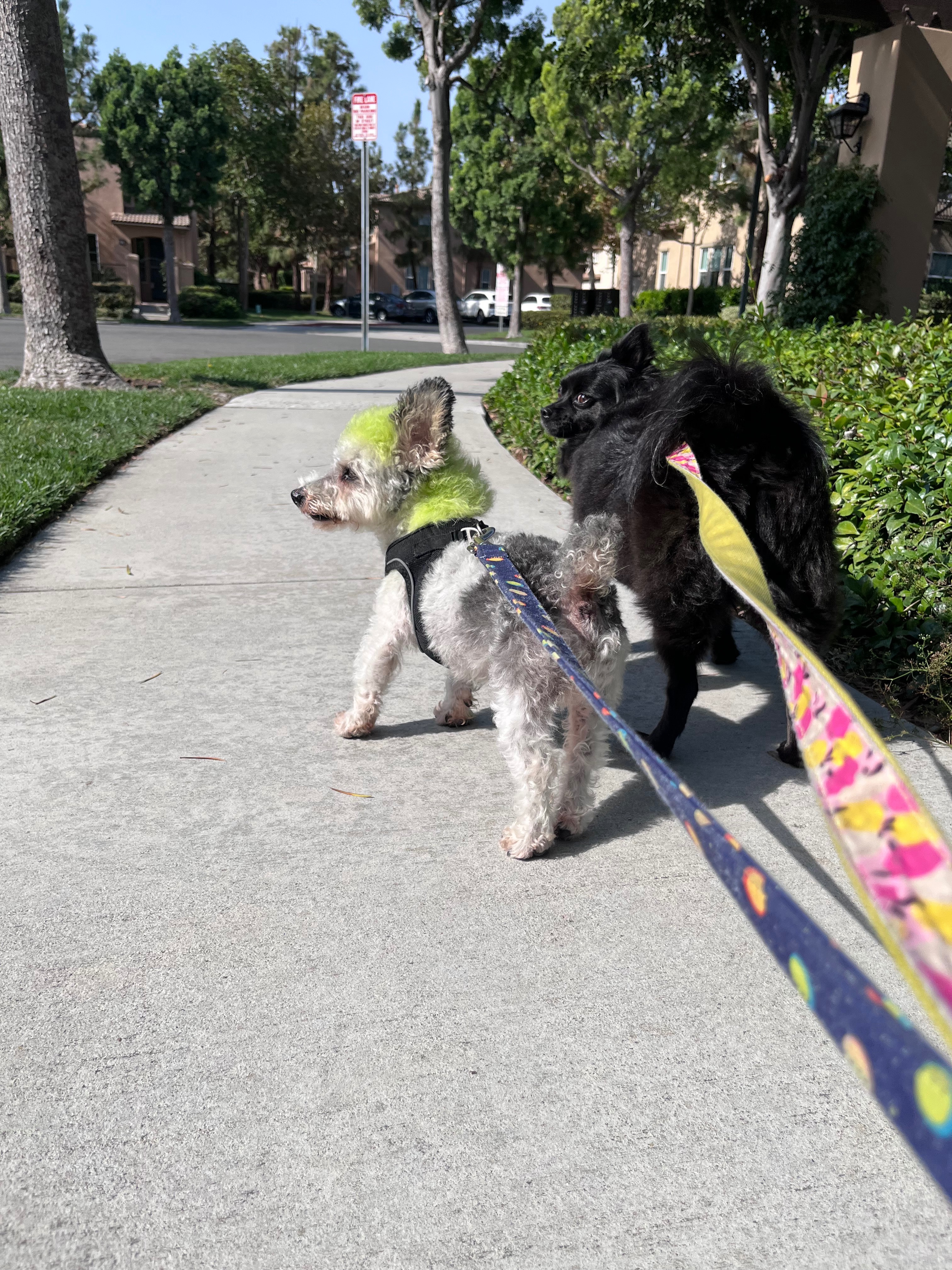 User-uploaded image 3