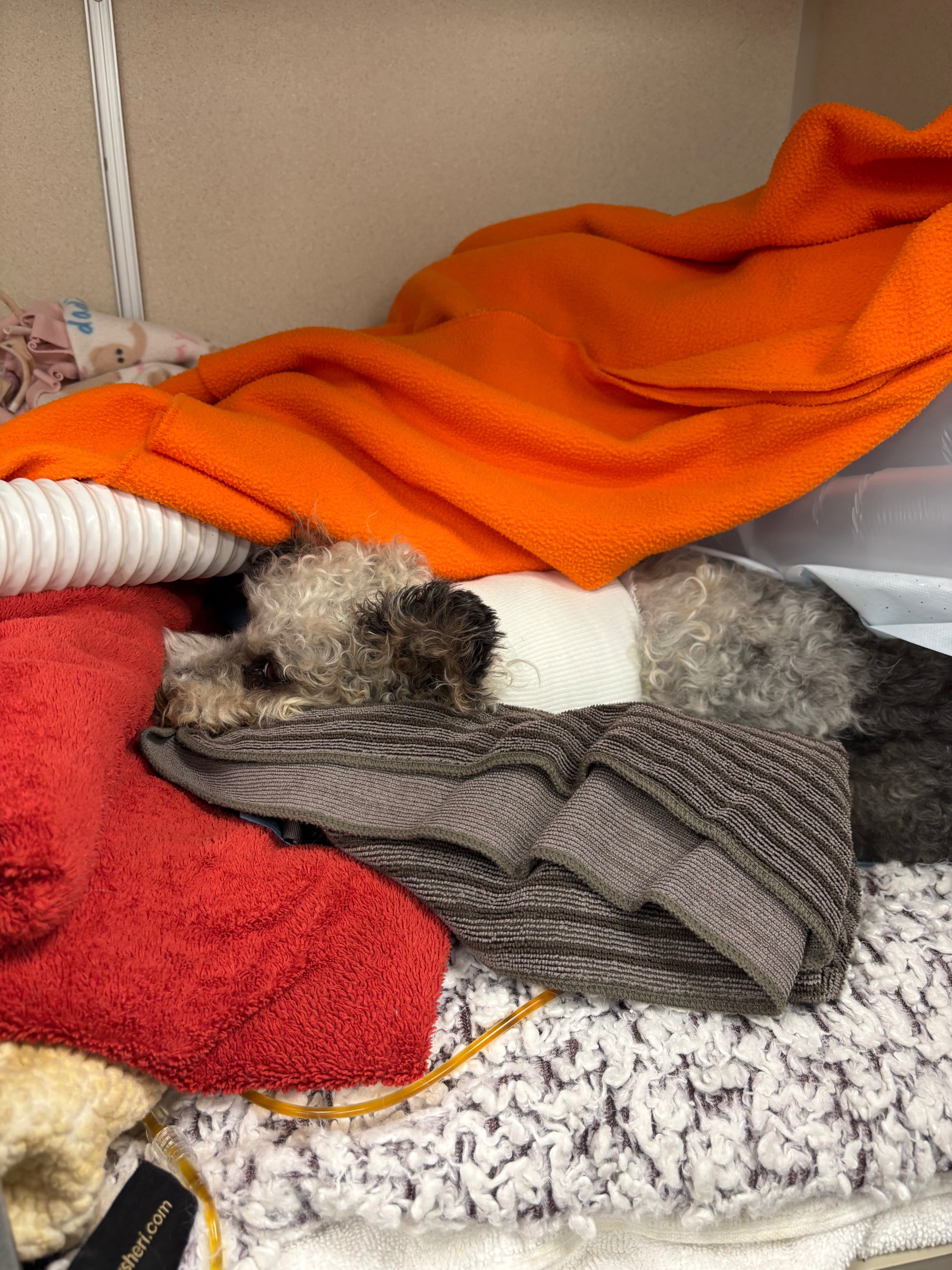 User-uploaded image 4