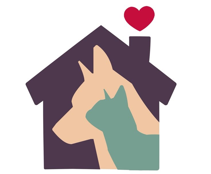 User-uploaded image 1