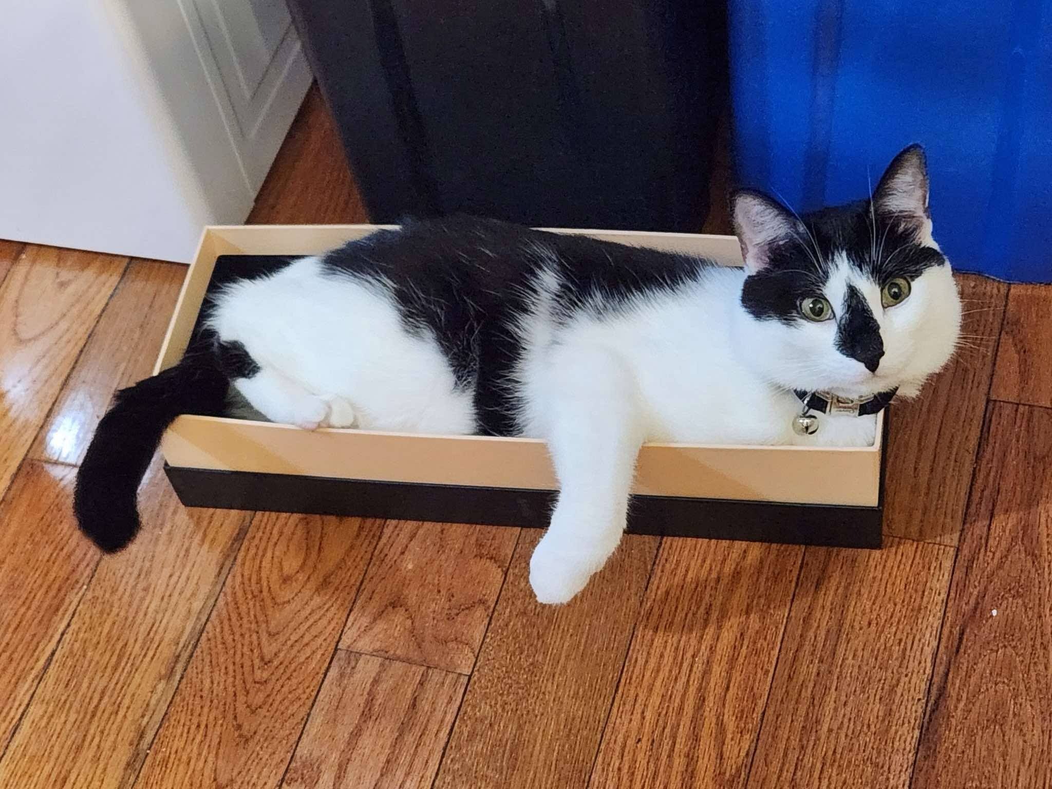 User-uploaded image 1