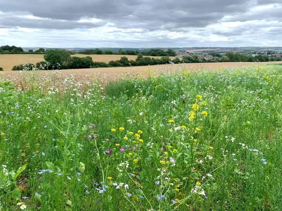 User-uploaded image 1