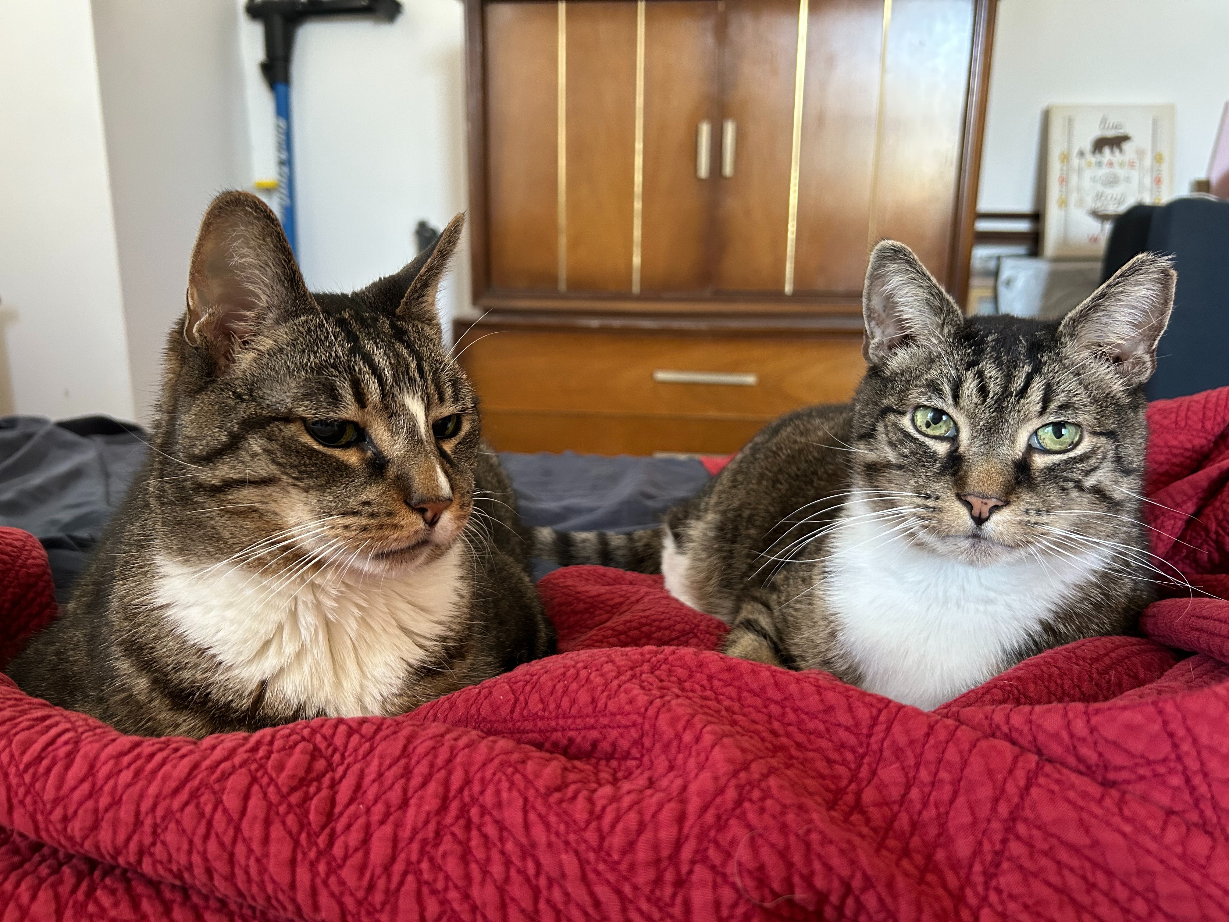 Donate to Maggie's Journey for Quality of Life campaign photo, 5 of 8