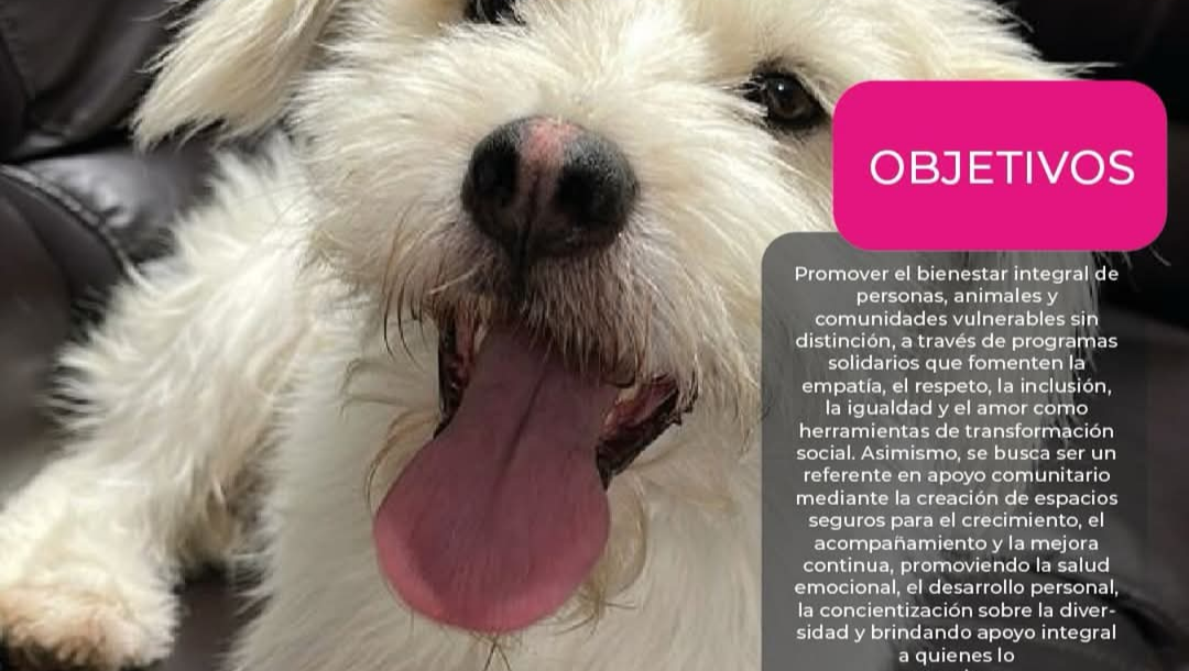 ALIMENTANDO HUELLITAS photo