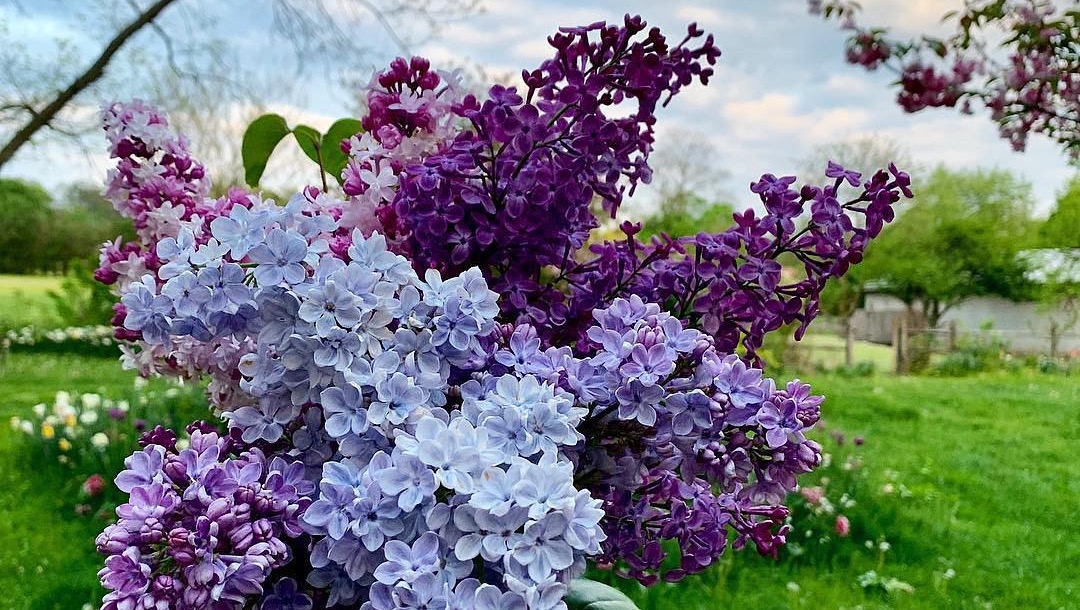 Remembering Jon: Support His Farewell photo