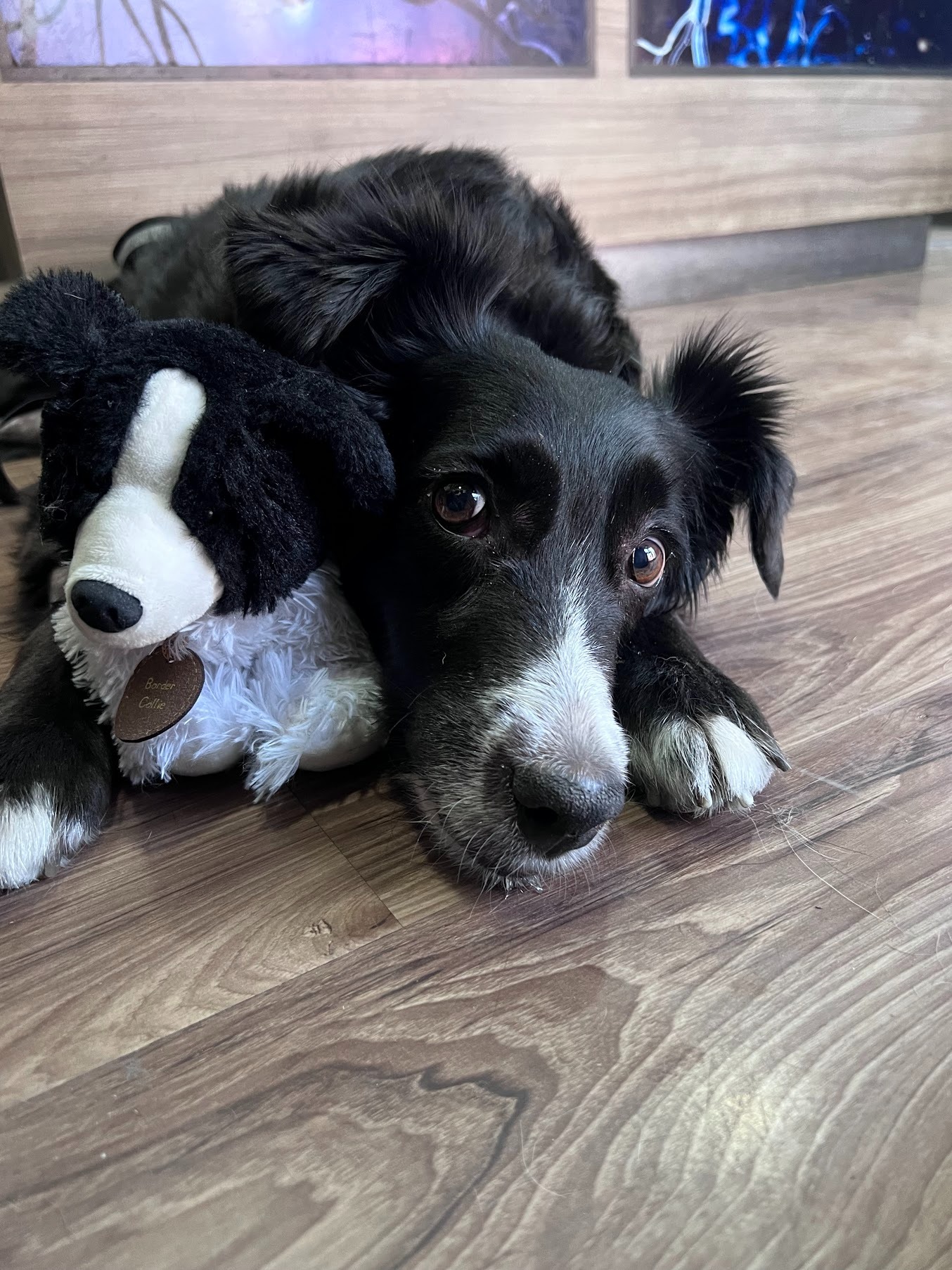 User-uploaded image 1