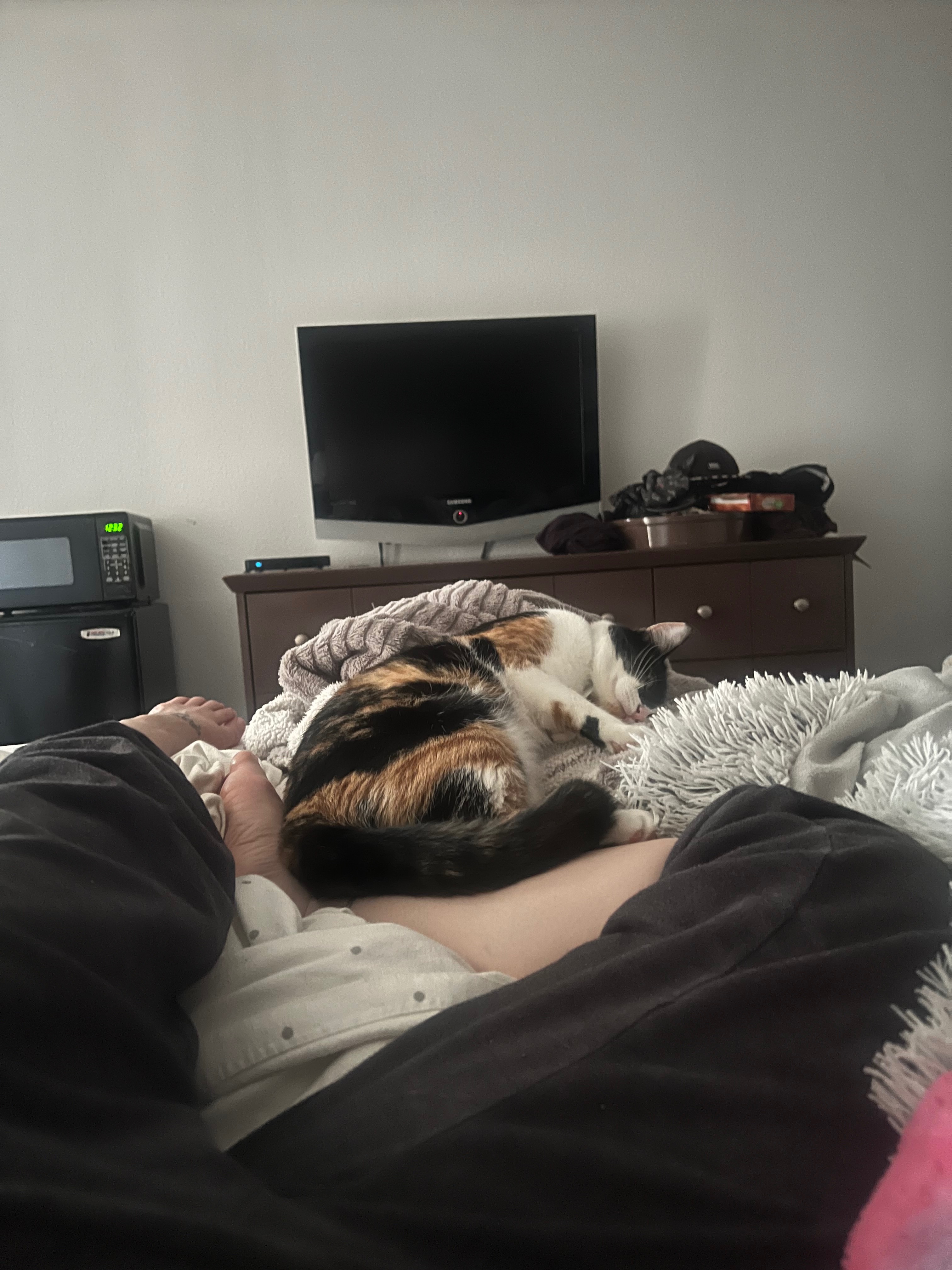 Keep Us Together & Housed: Me and feline sidekick, Callie campaign photo, 2 of 4