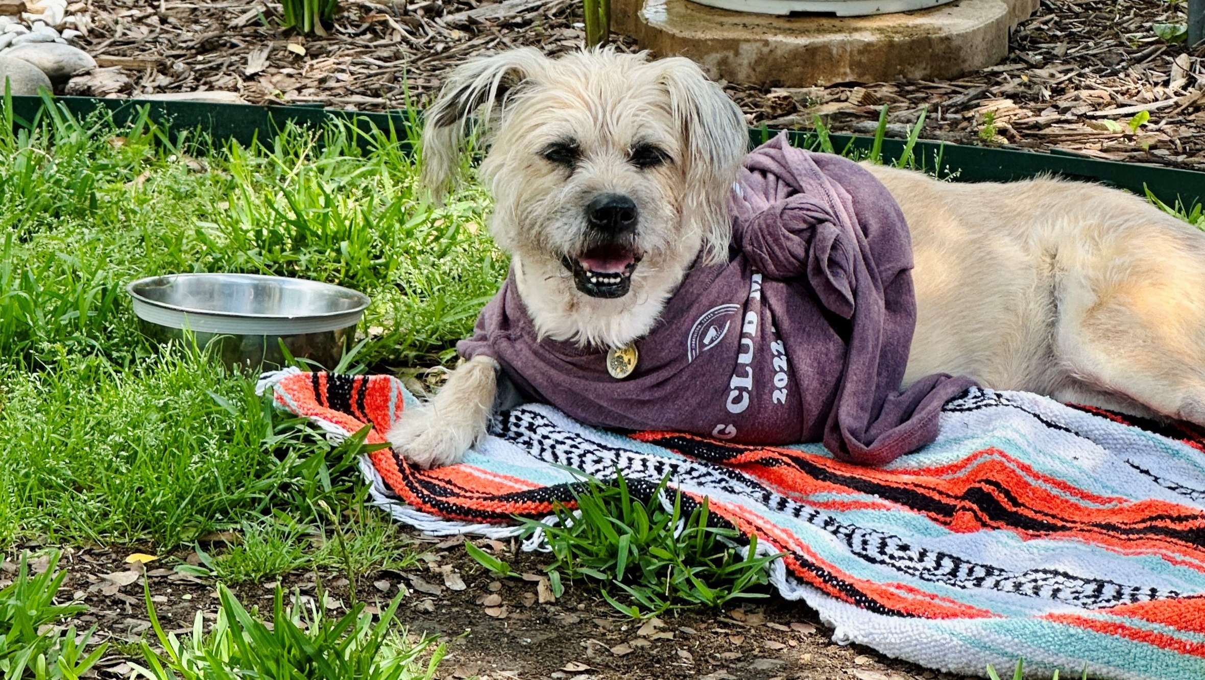 Help Us Give Lyric the Best Final Chapter photo