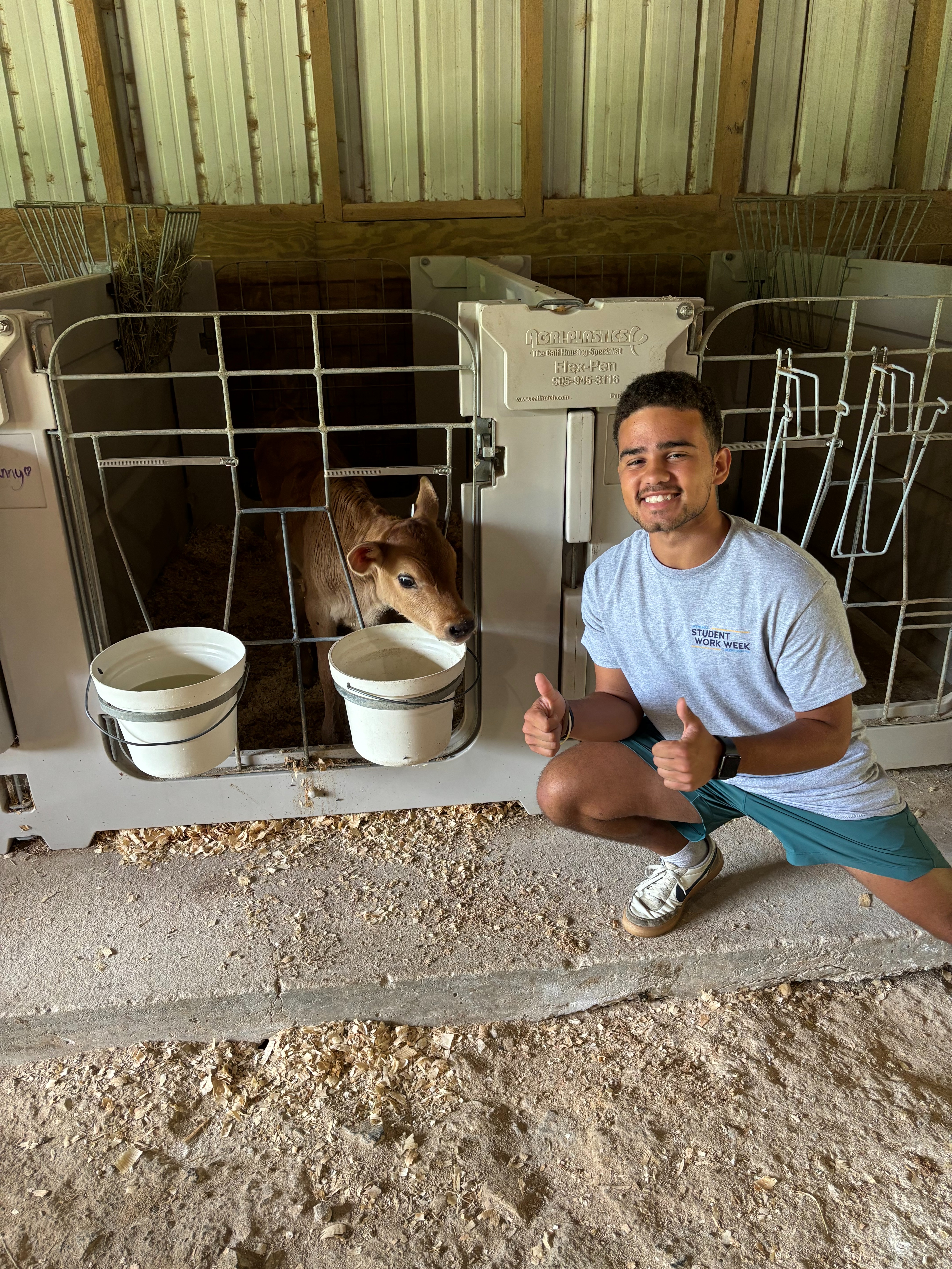 Support Manny's Veterinary Internship in Spain! campaign photo, 4 of 7