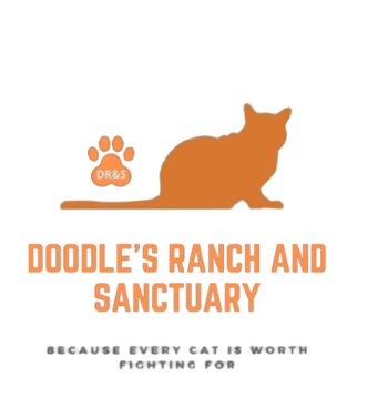 User-uploaded image 1