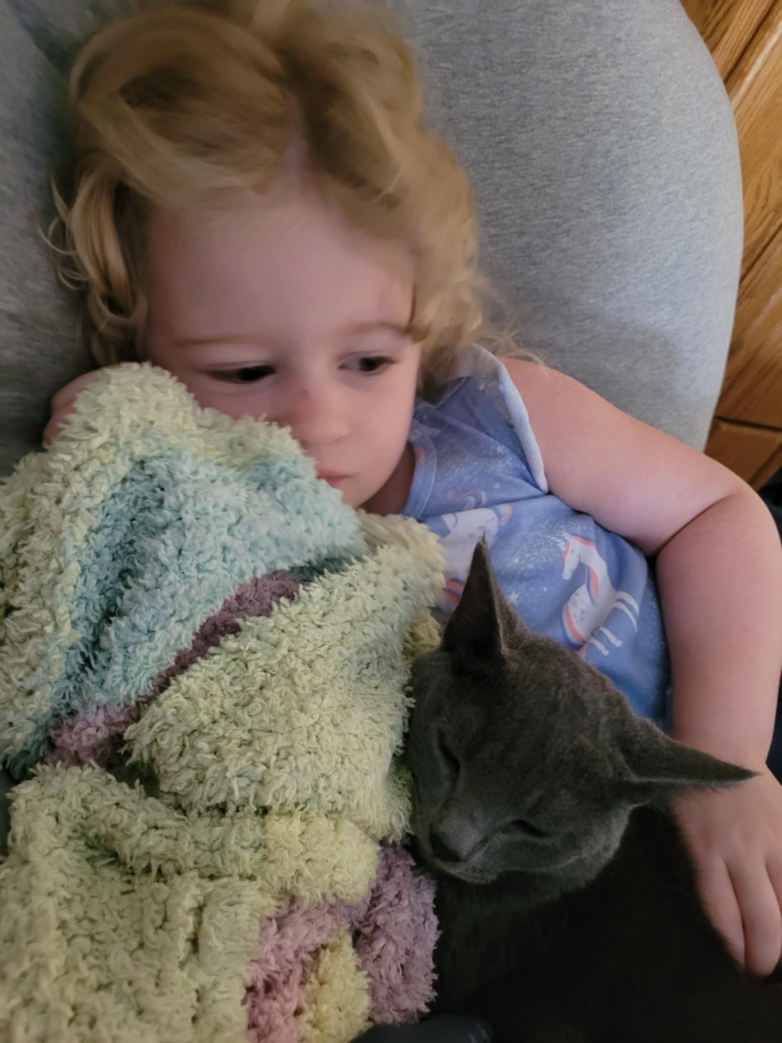 Photo de la campagne Abbey and Mystique's Heartfelt Plea for Help, 2 sur 6