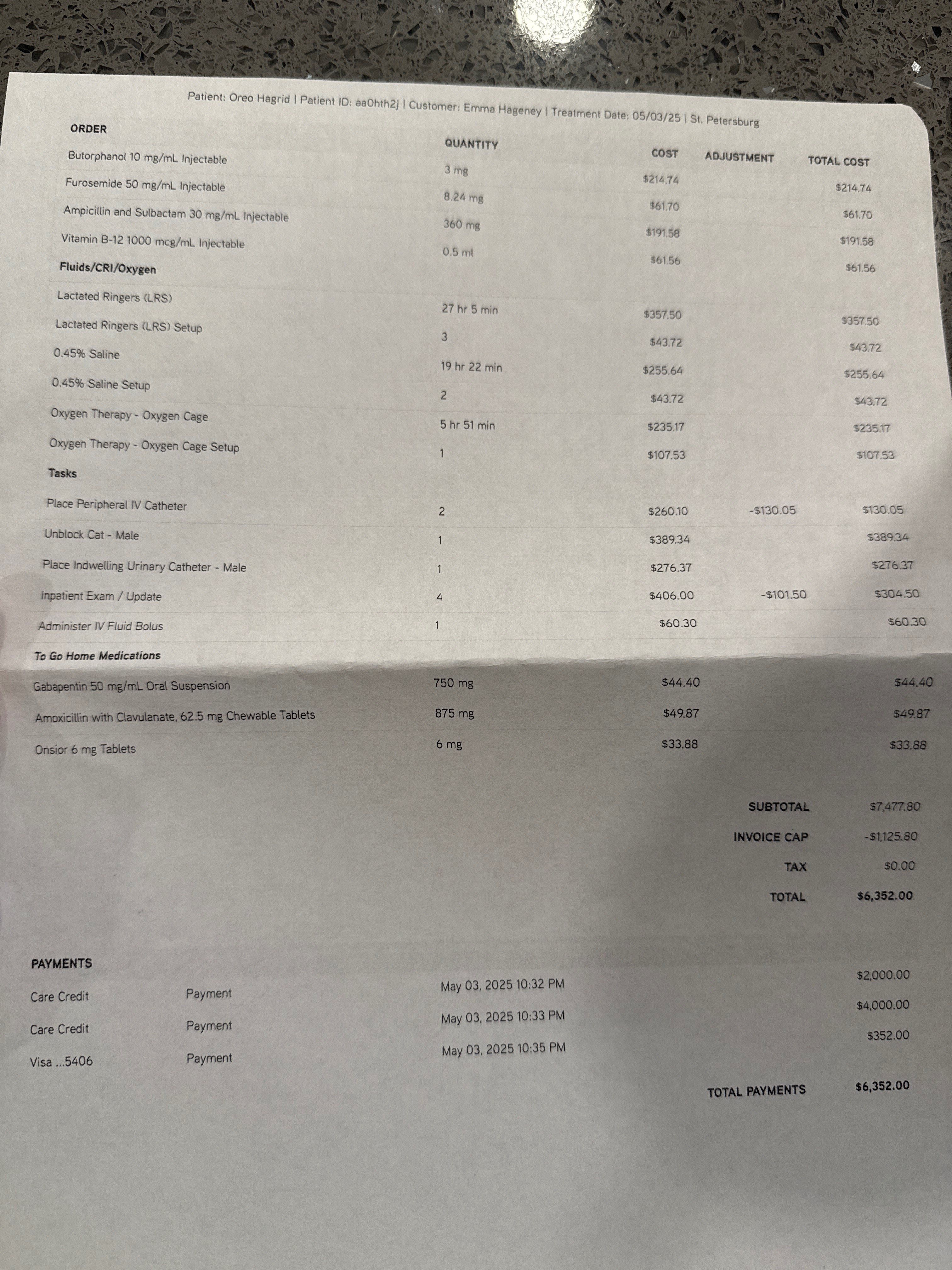 Emergency Vet Bills for Hagrid campaign photo, 6 of 8