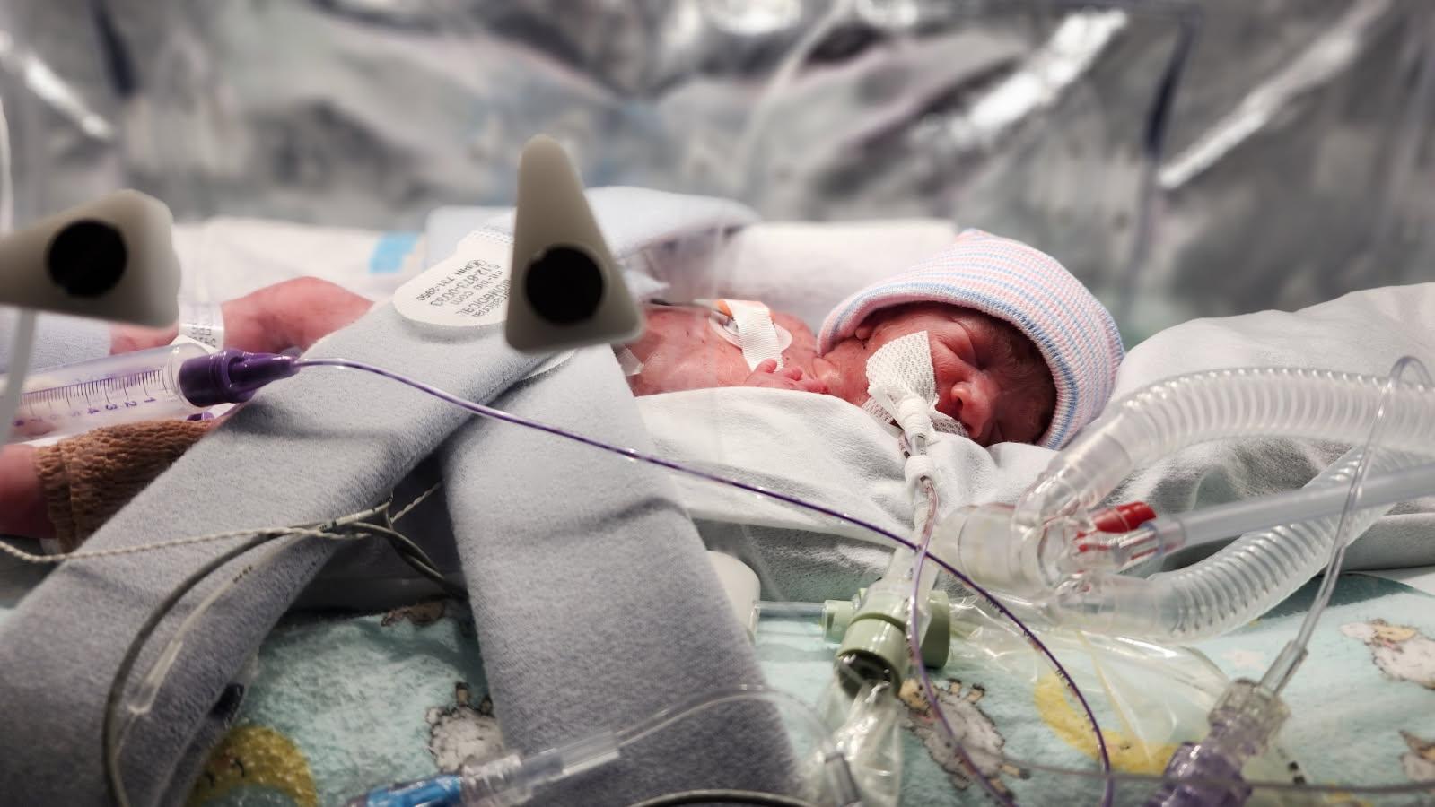 User-uploaded image 1