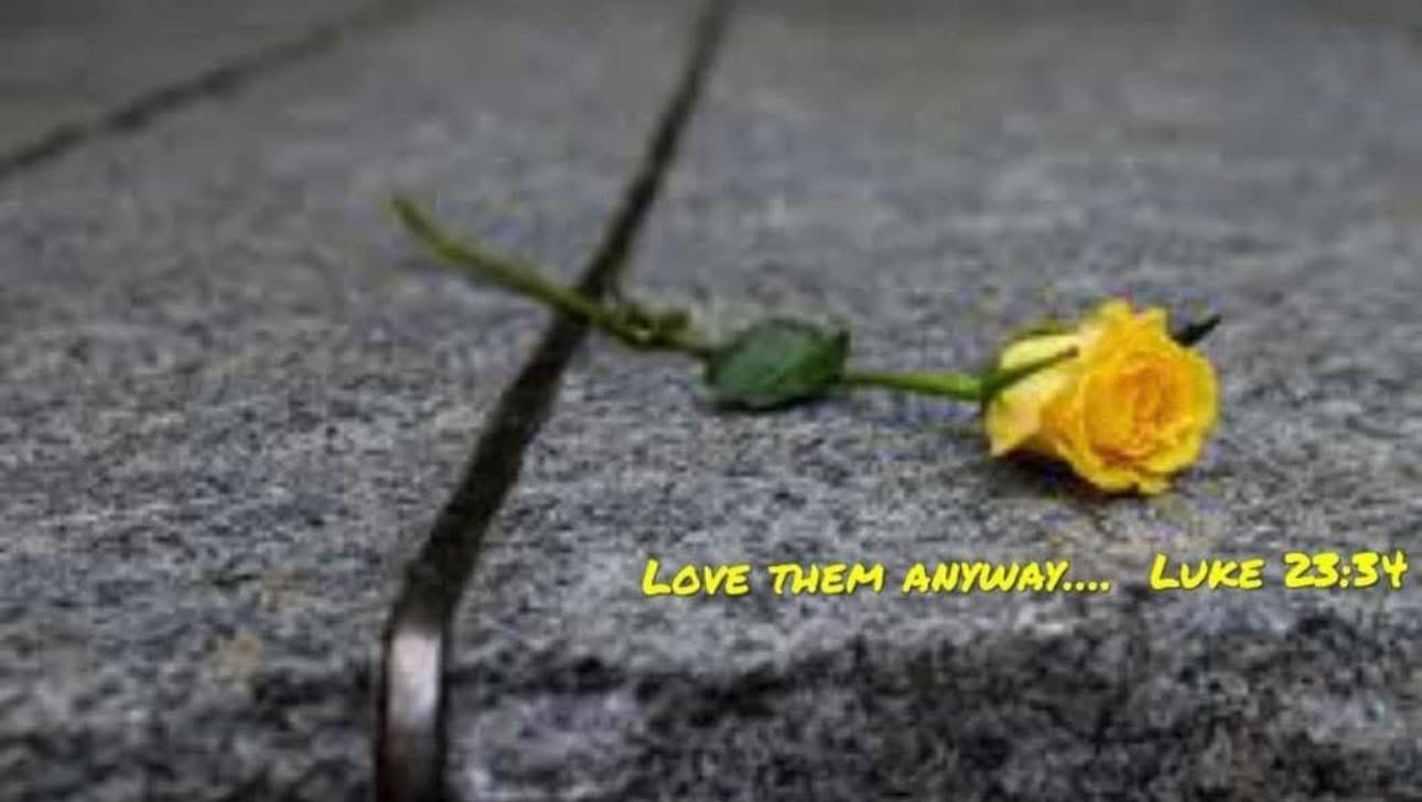 Fighting to Heal: Help Me Escape My Isolation photo