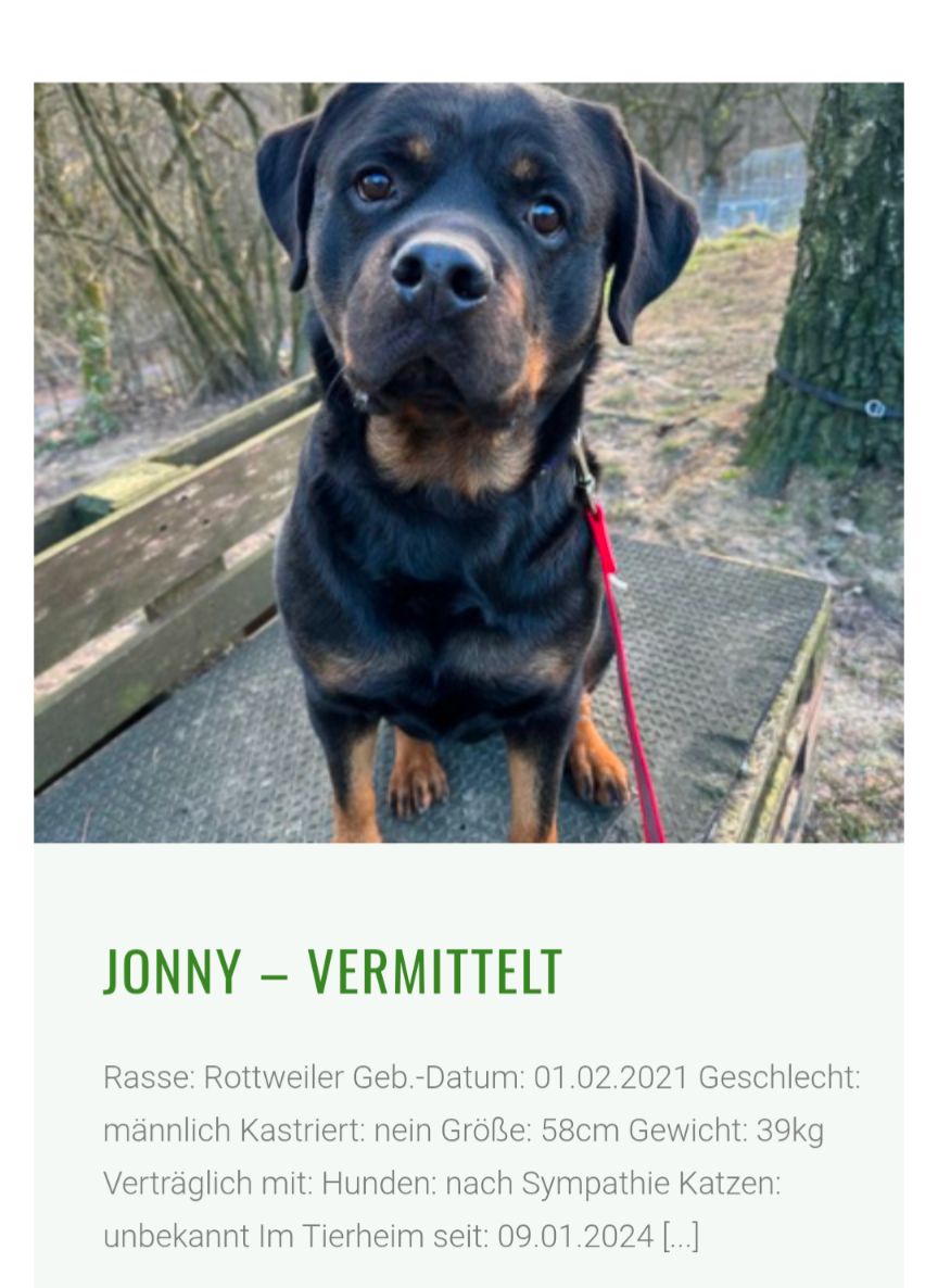 Kampagnen-Foto für Neue Hüftgelenke für Jonny, 2 von 8