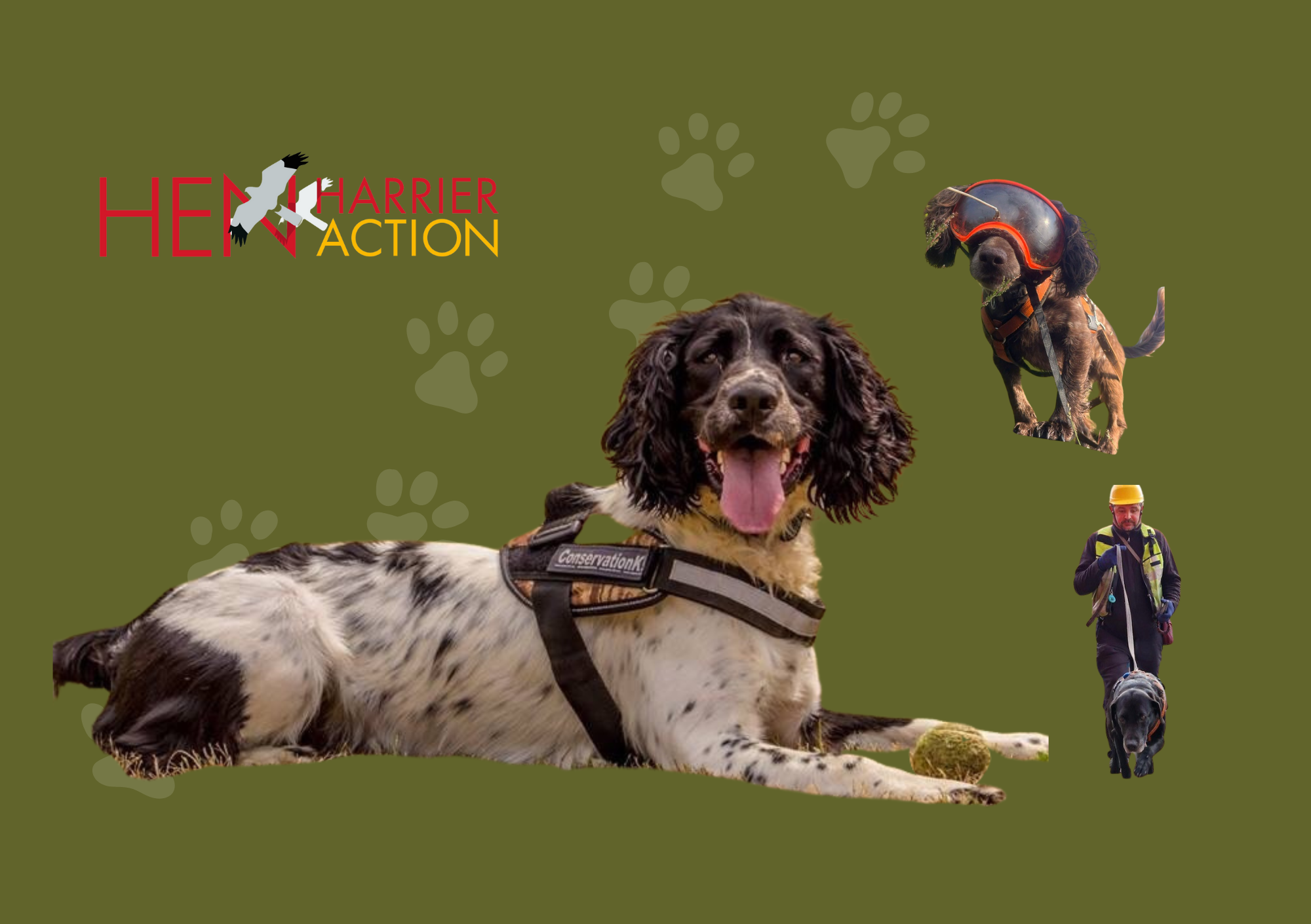 User-uploaded image 1