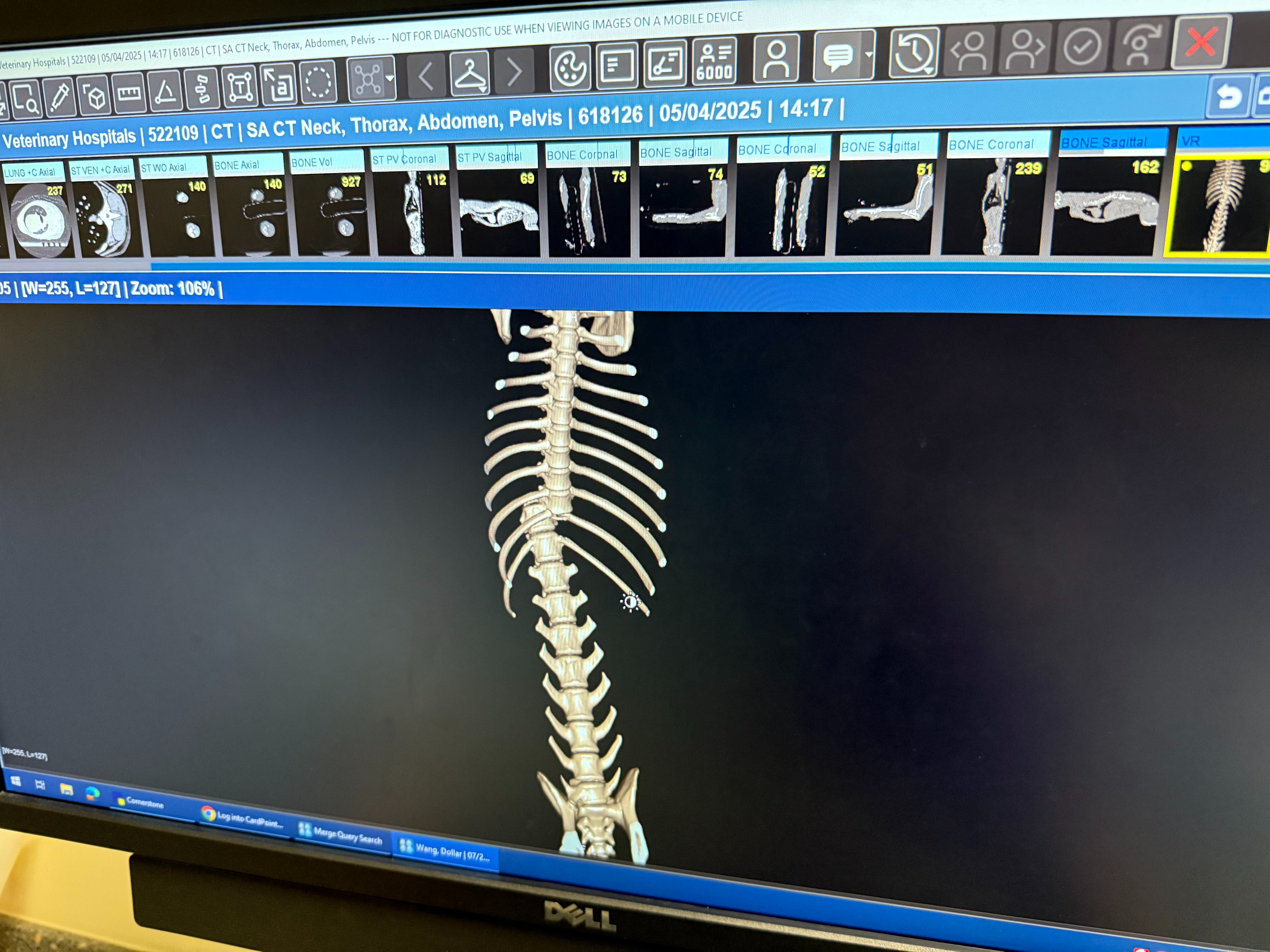 Help Dollar Walk Again: Support His Recovery Journey campaign photo, 4 of 8
