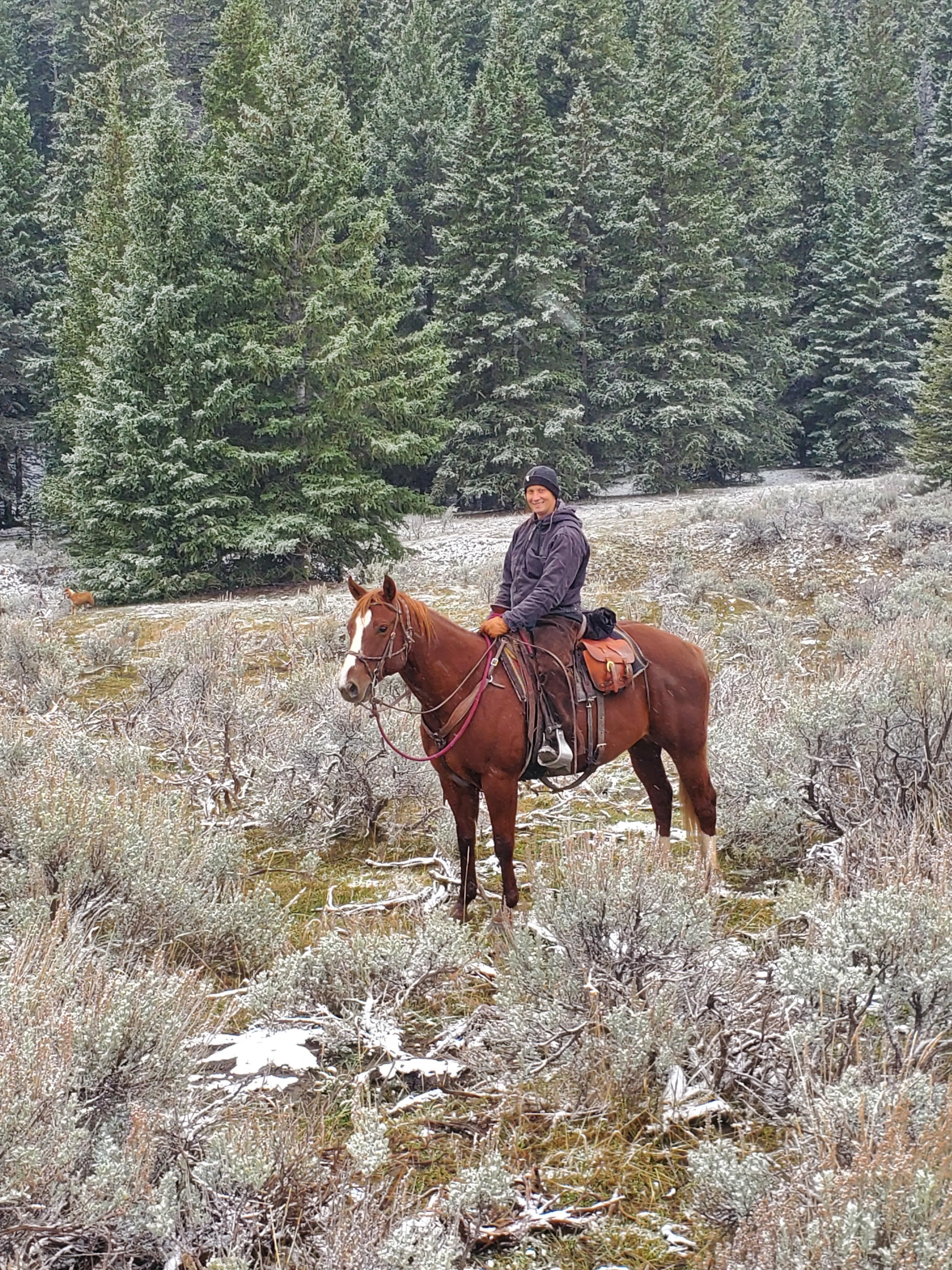 User-uploaded image 5